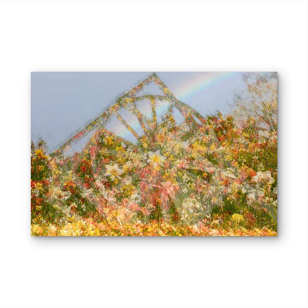Wheel of flowers D.png