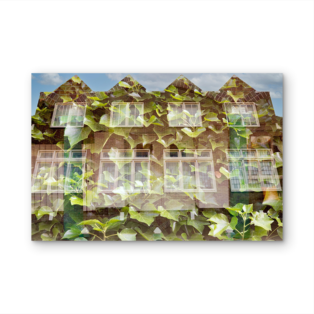 Leafy house of joy D.png