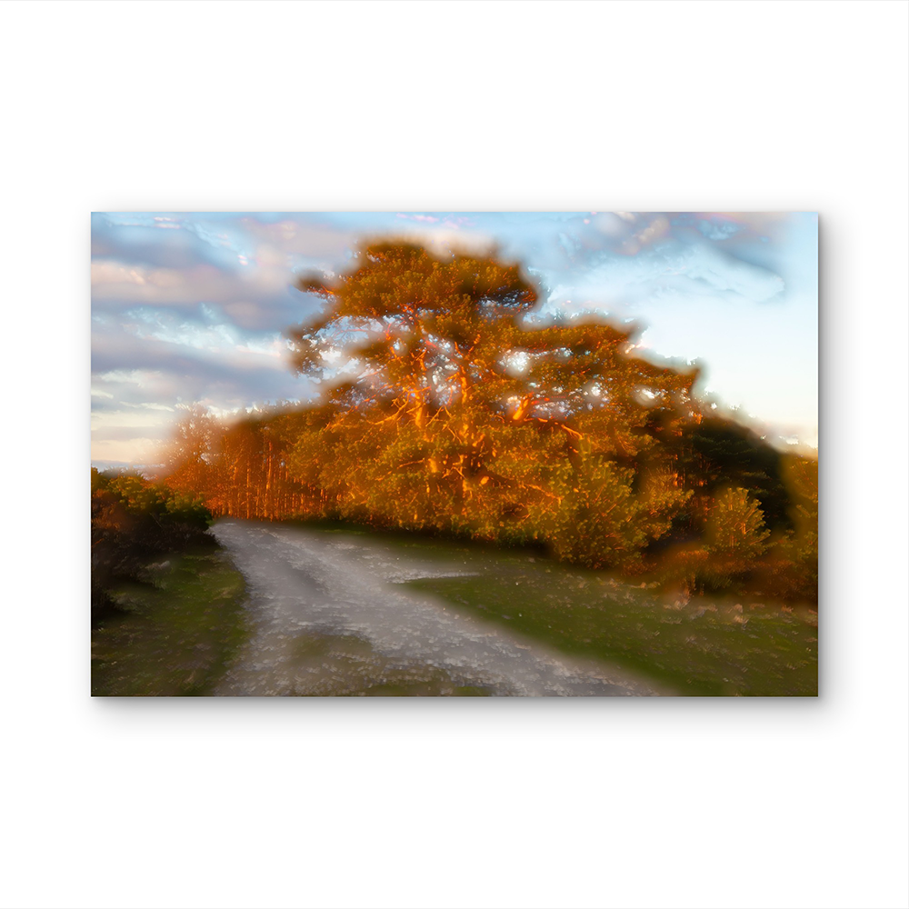 Burning trees D.png
