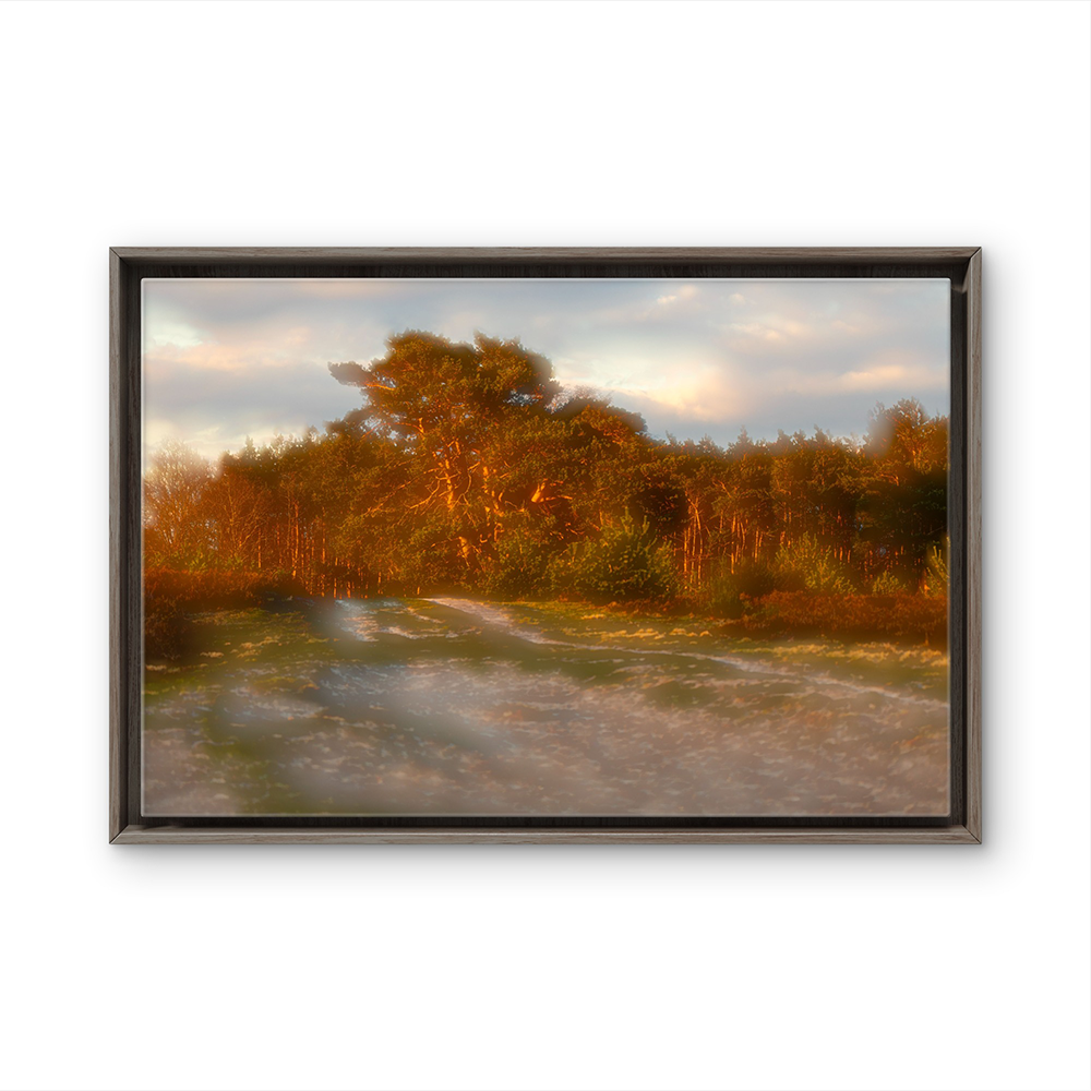 Sunrise woods BL.png