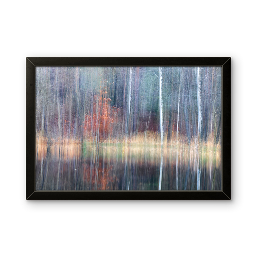 Misty trees in water MG.png