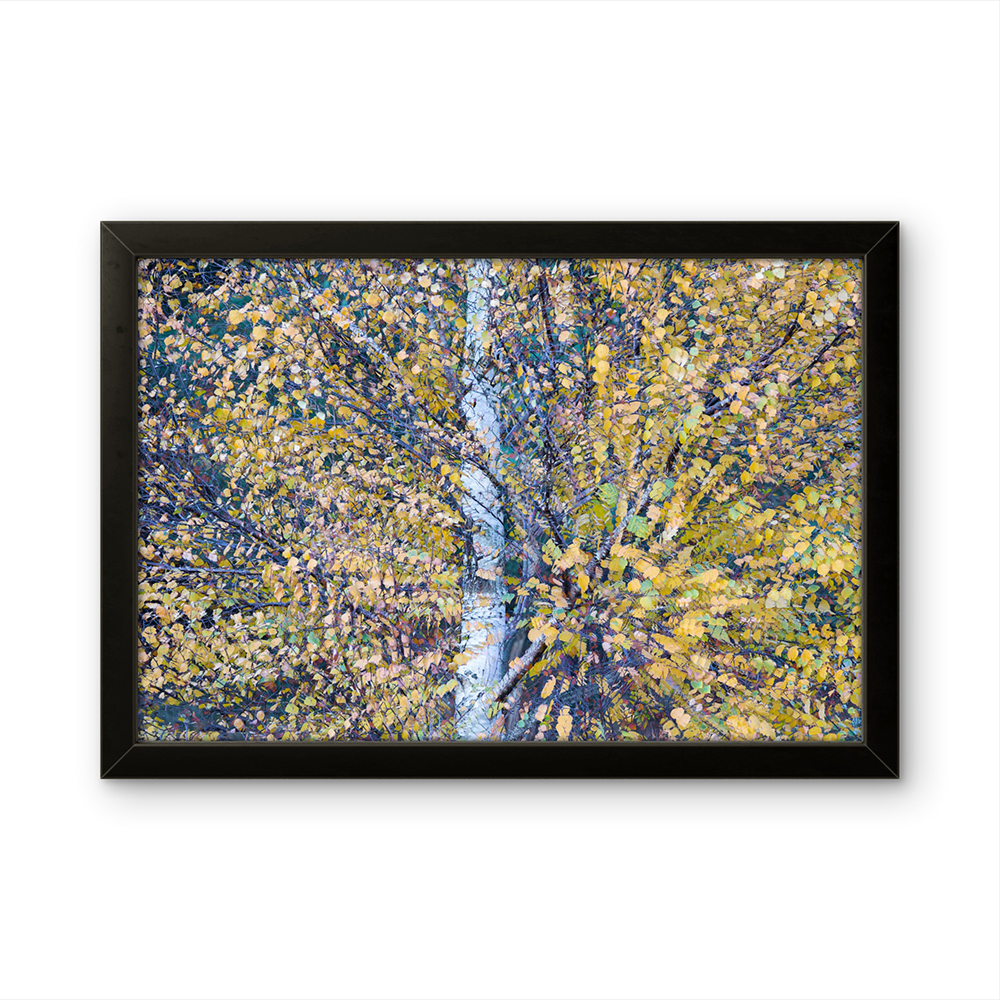 Falling leaves MG.png