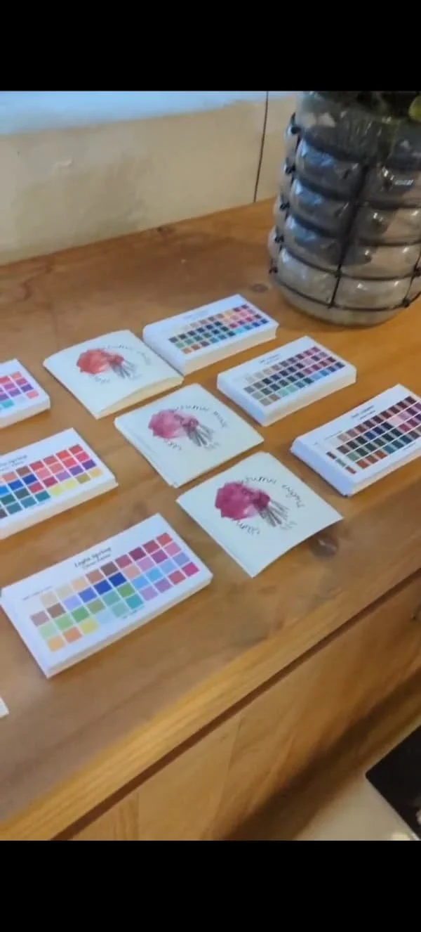 Miss Analyst, Colour Analysis, Colour Season, The Hive, Runway Asia, Hong Kong