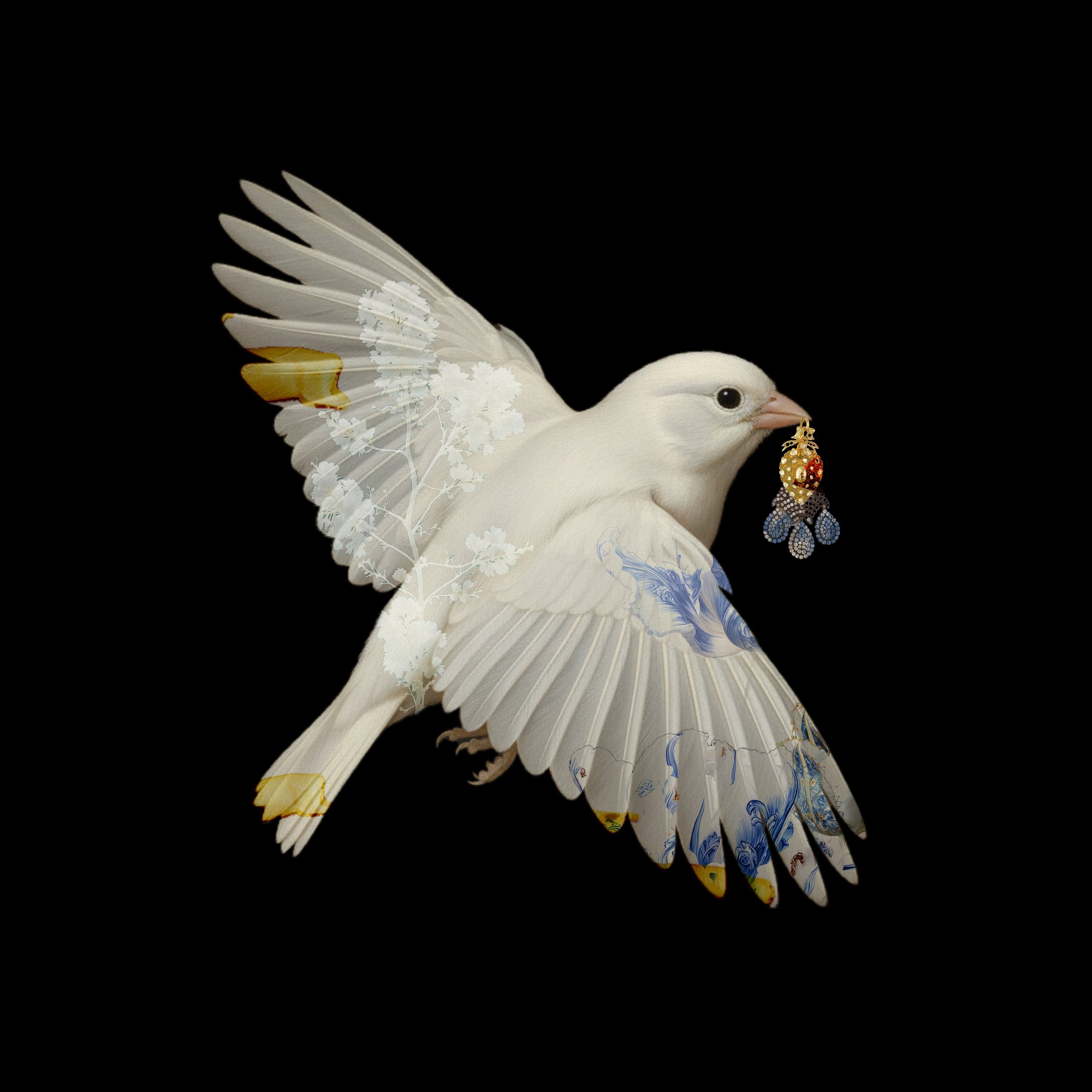 Birds Dressing UP XI