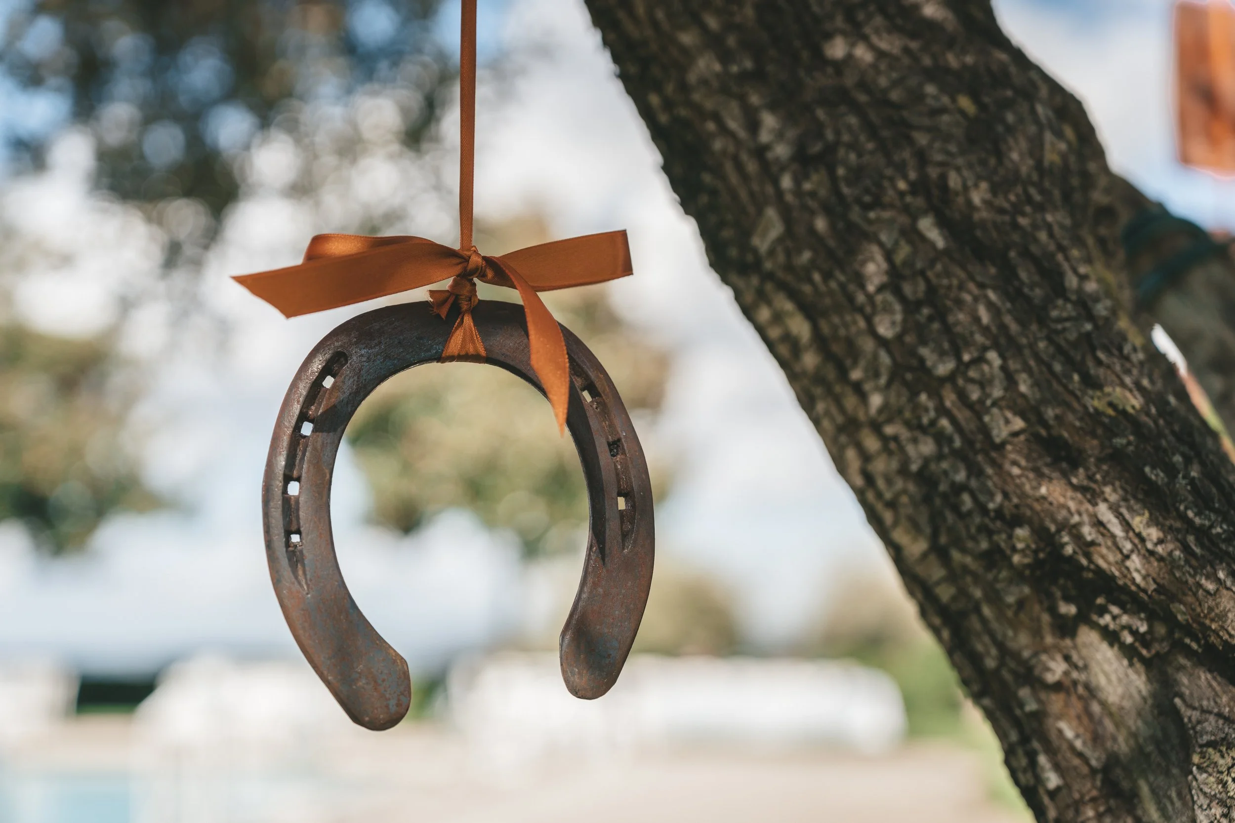  Dettaglio Tableau de mariage.jpg