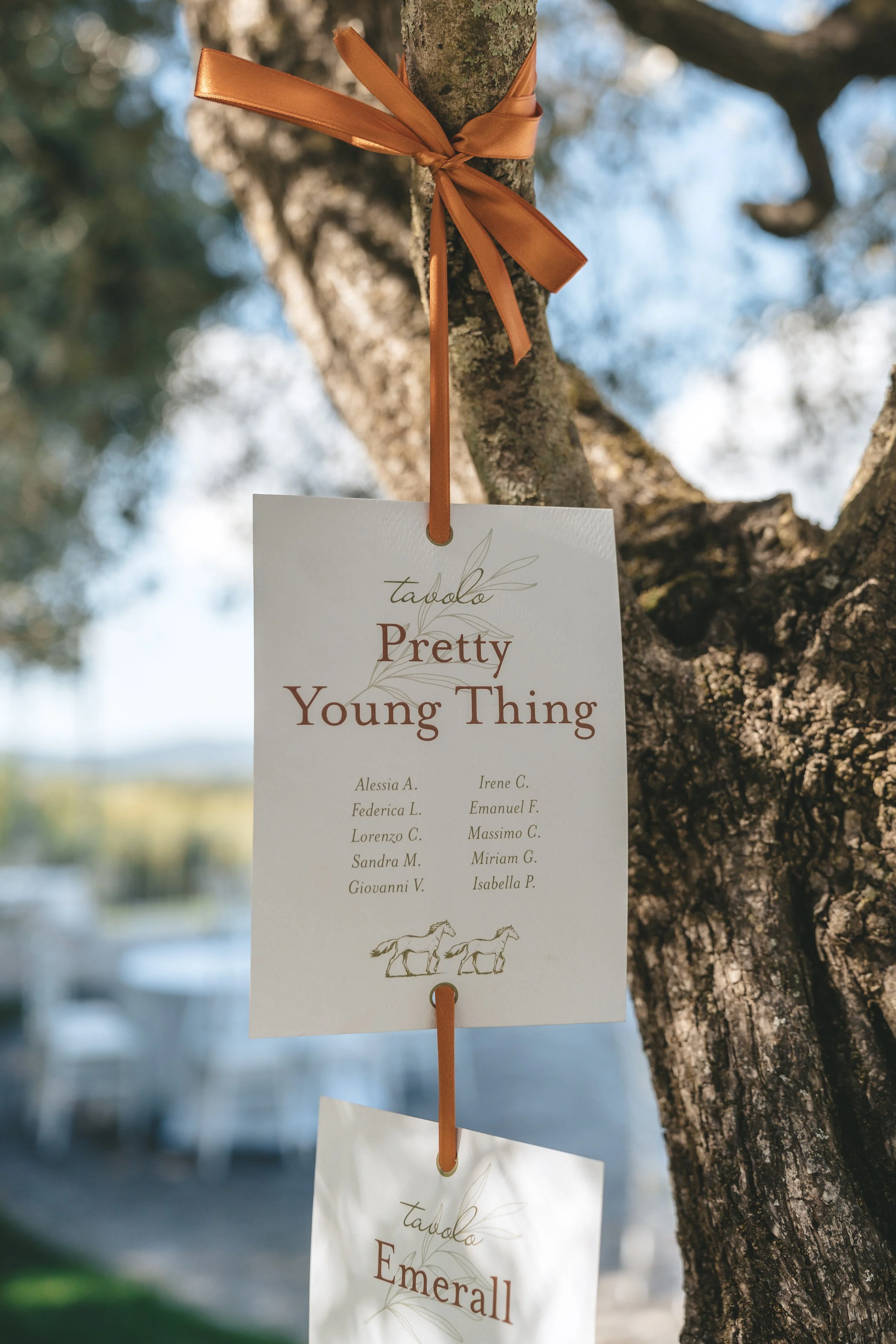 Card Tableau de mariage.jpg