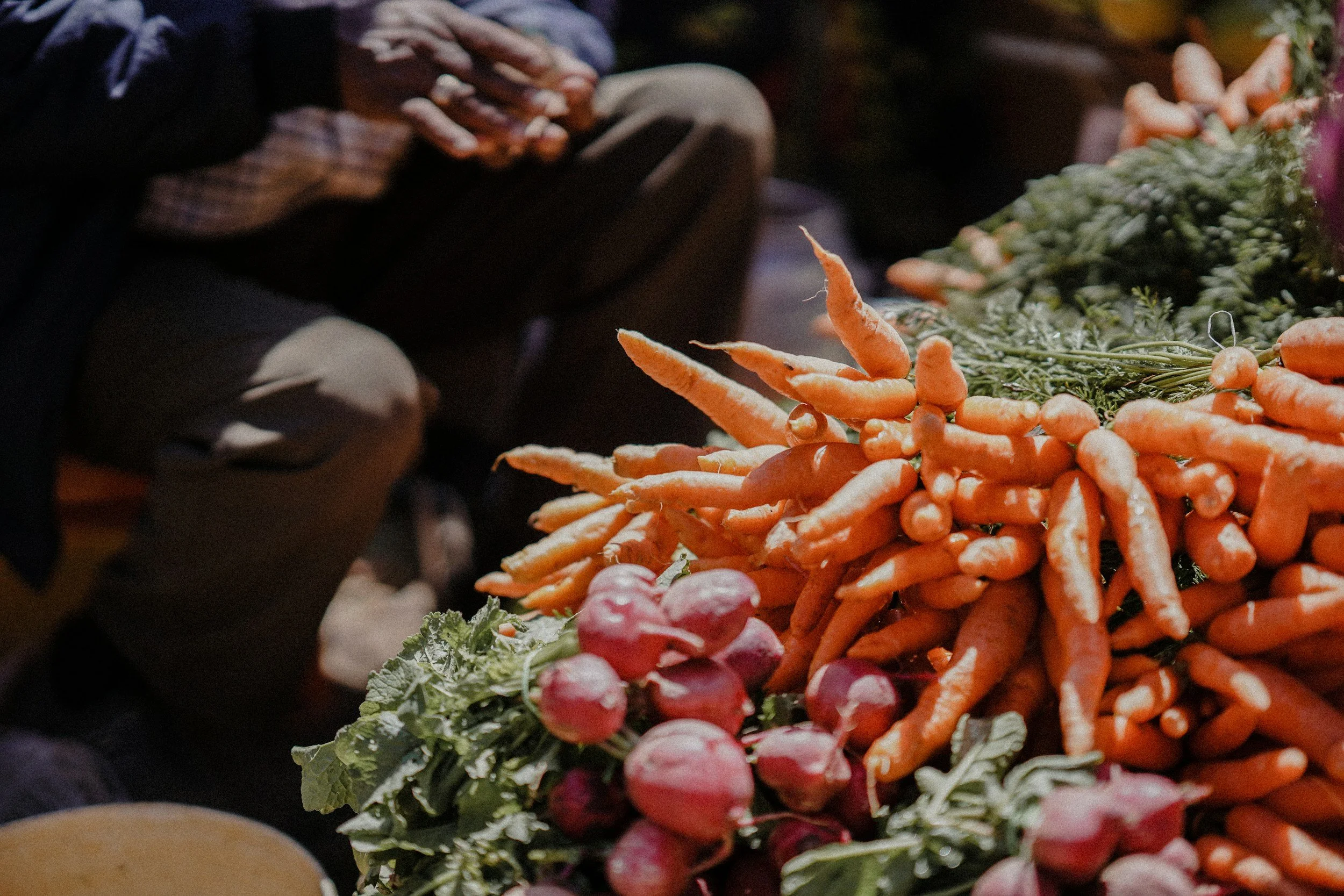 Légumes frais, carottes, radis de chez Earl Robin