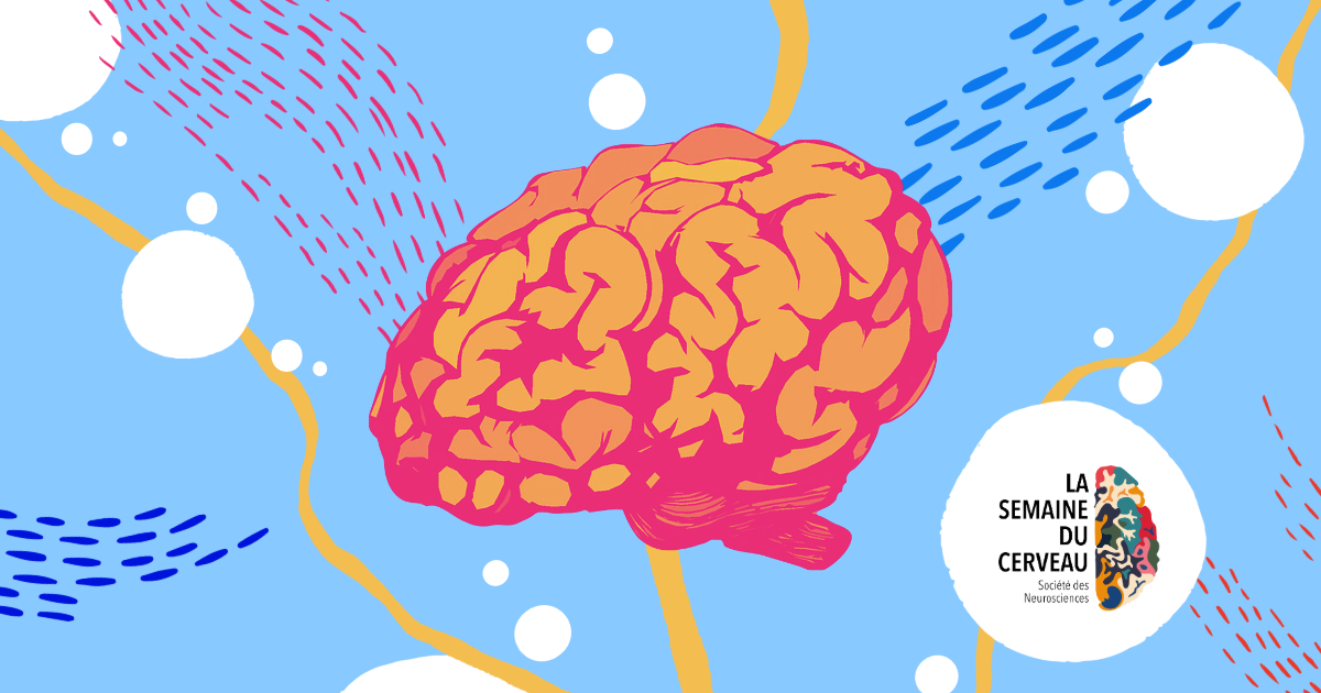 La Science s'invite à La Reine de Cœur : Comprendre l'Anorexie Mentale 