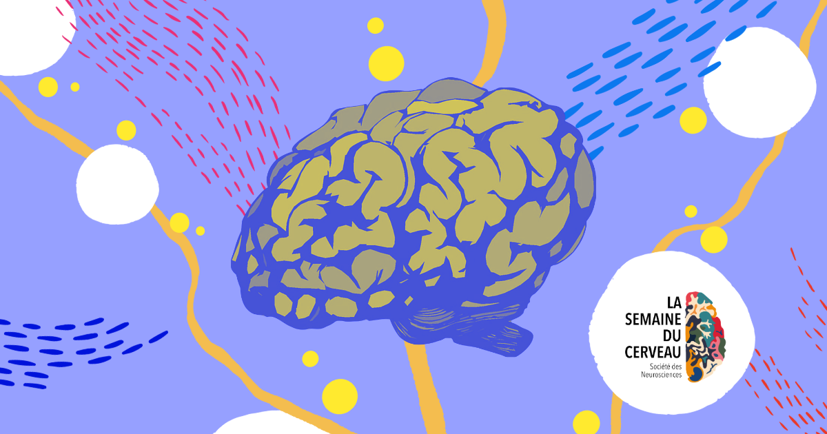 Les tumeurs du cerveau : la recherche au féminin