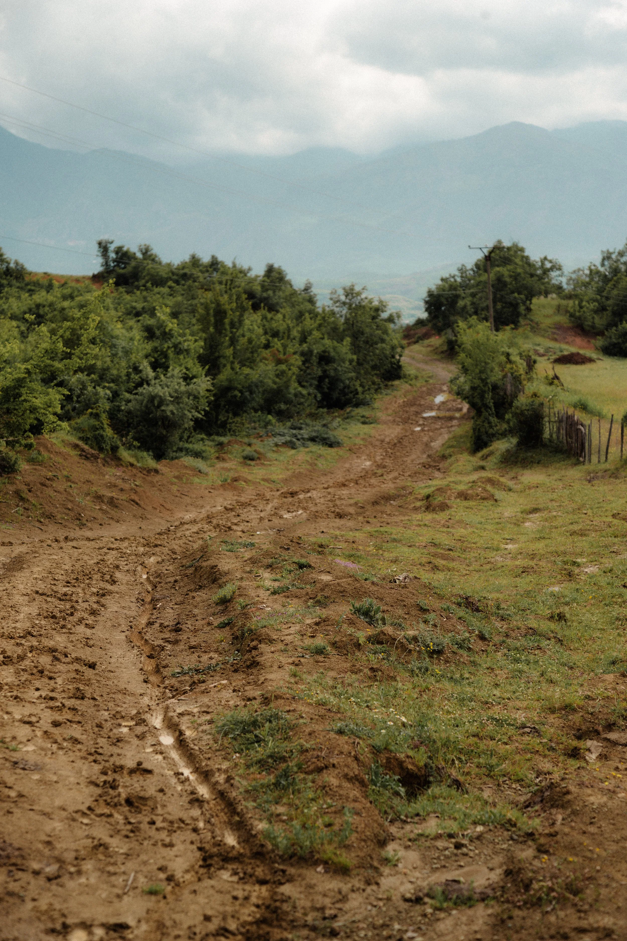 JL2A6793-Enhanced-NR.jpg