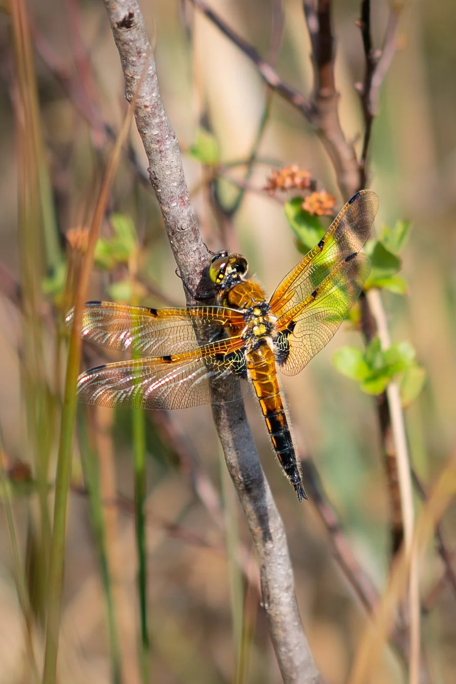 Halfway House-26.jpg