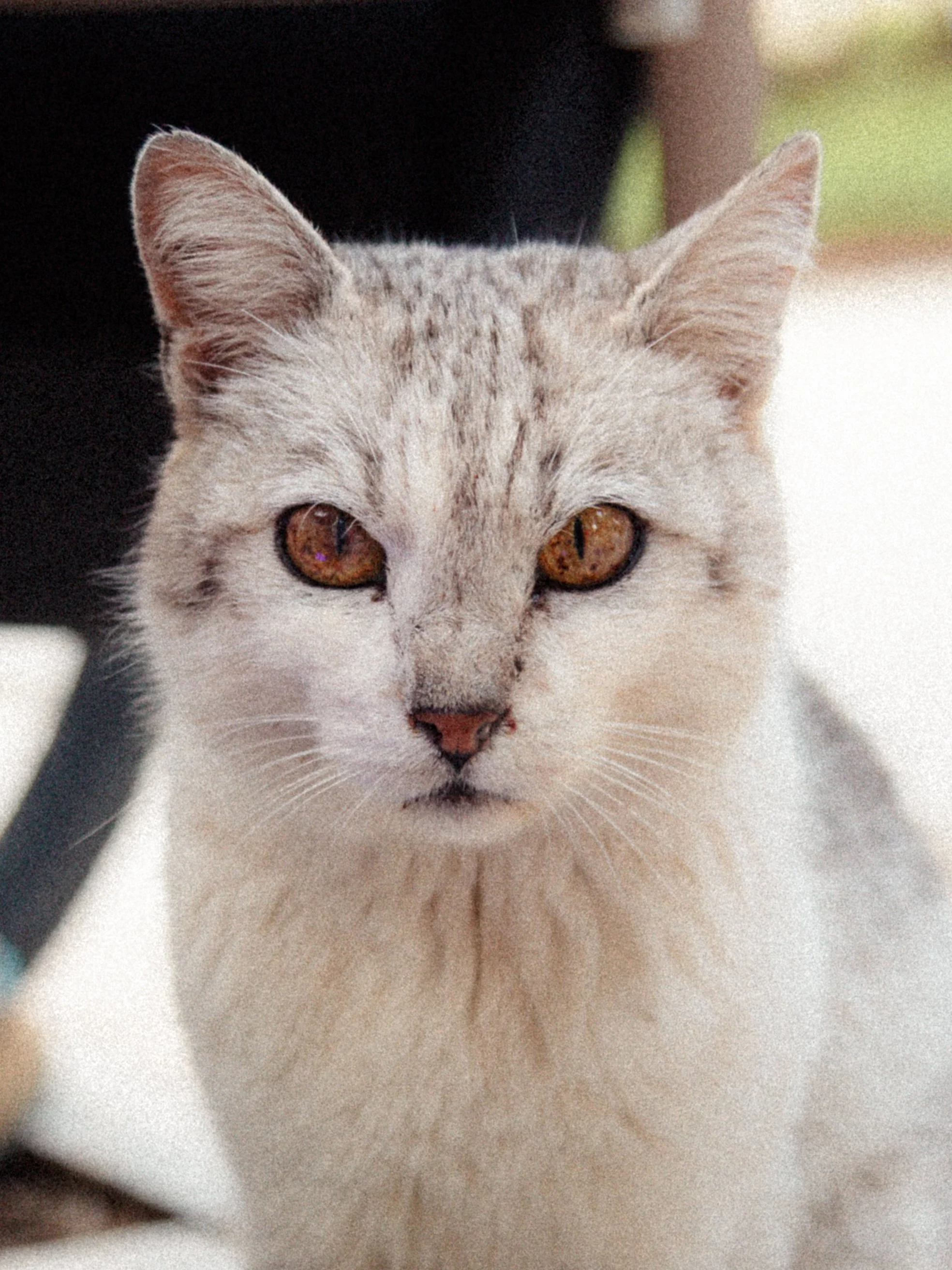 JL2A7536.jpg