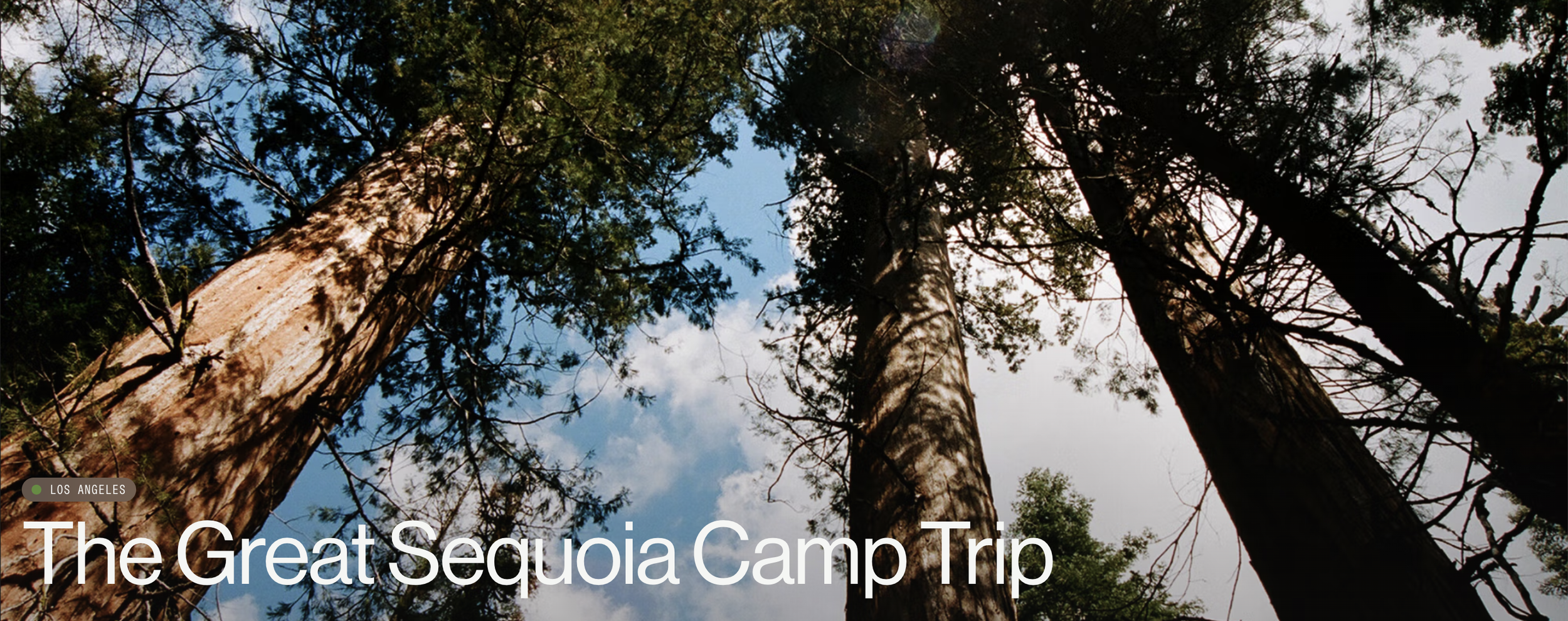 The Giant Sequoia Camping Trip