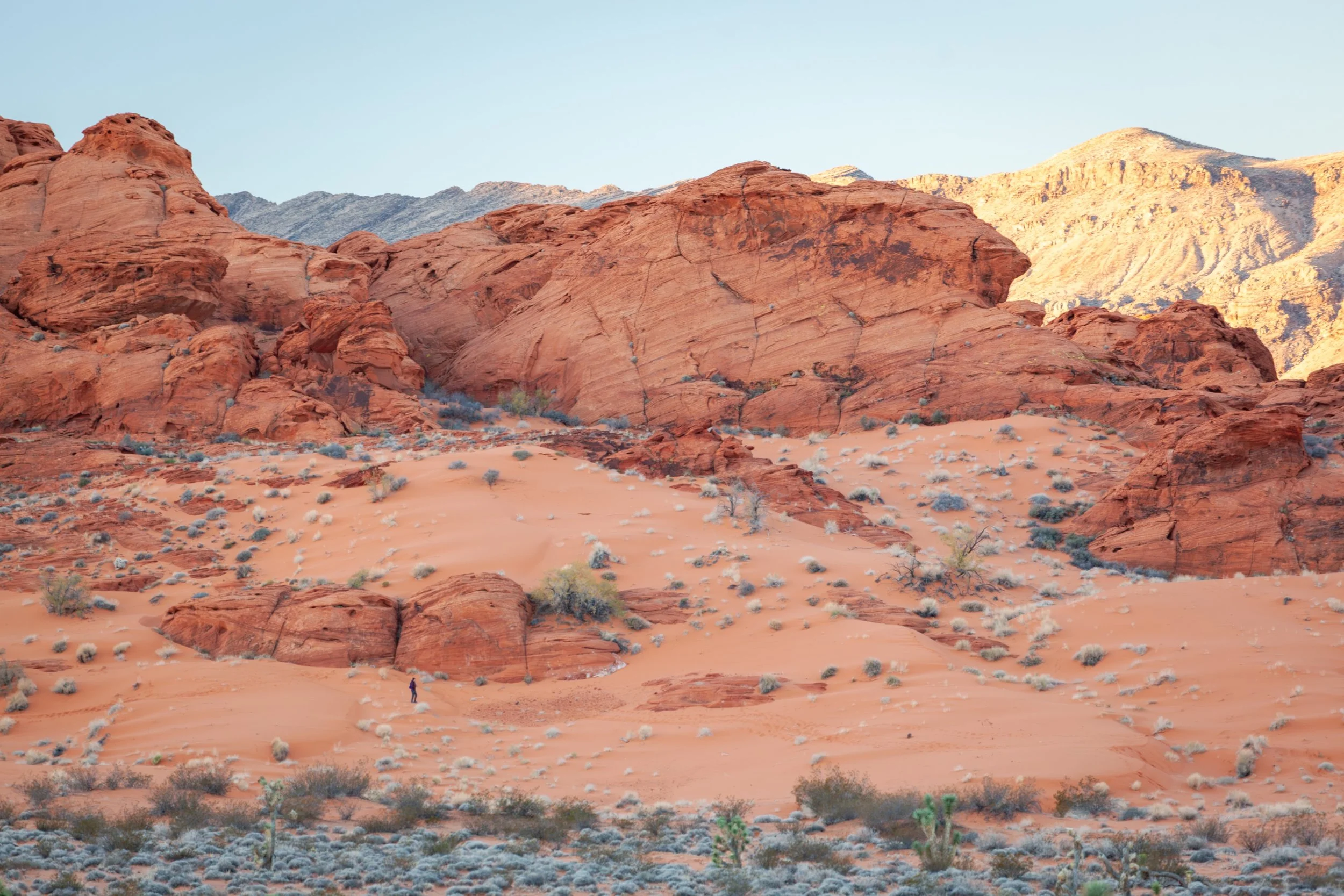 BLM Dispatch #34 - Gold Butte National Monument, Nevada