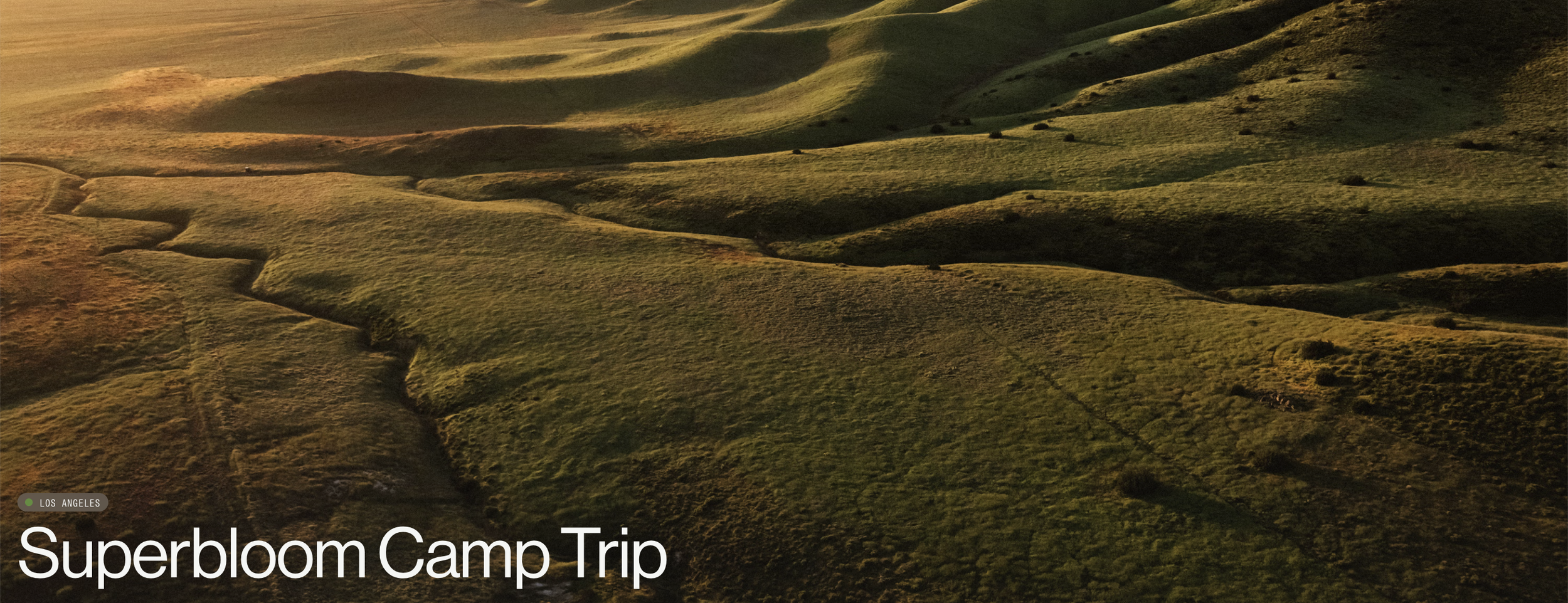 Carrizo Plain Camping Trip