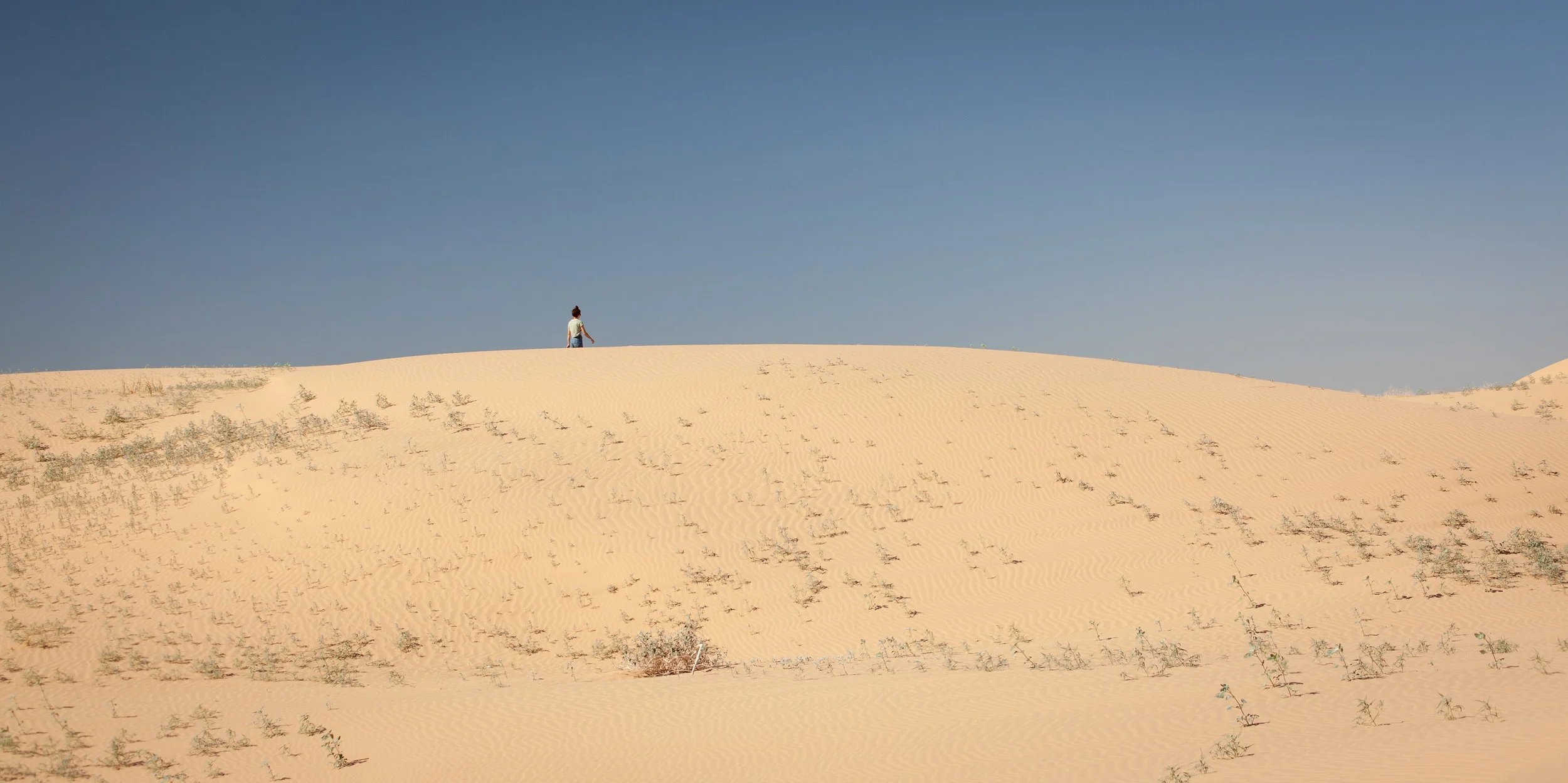 Dispatch #44 - Algodones Dunes