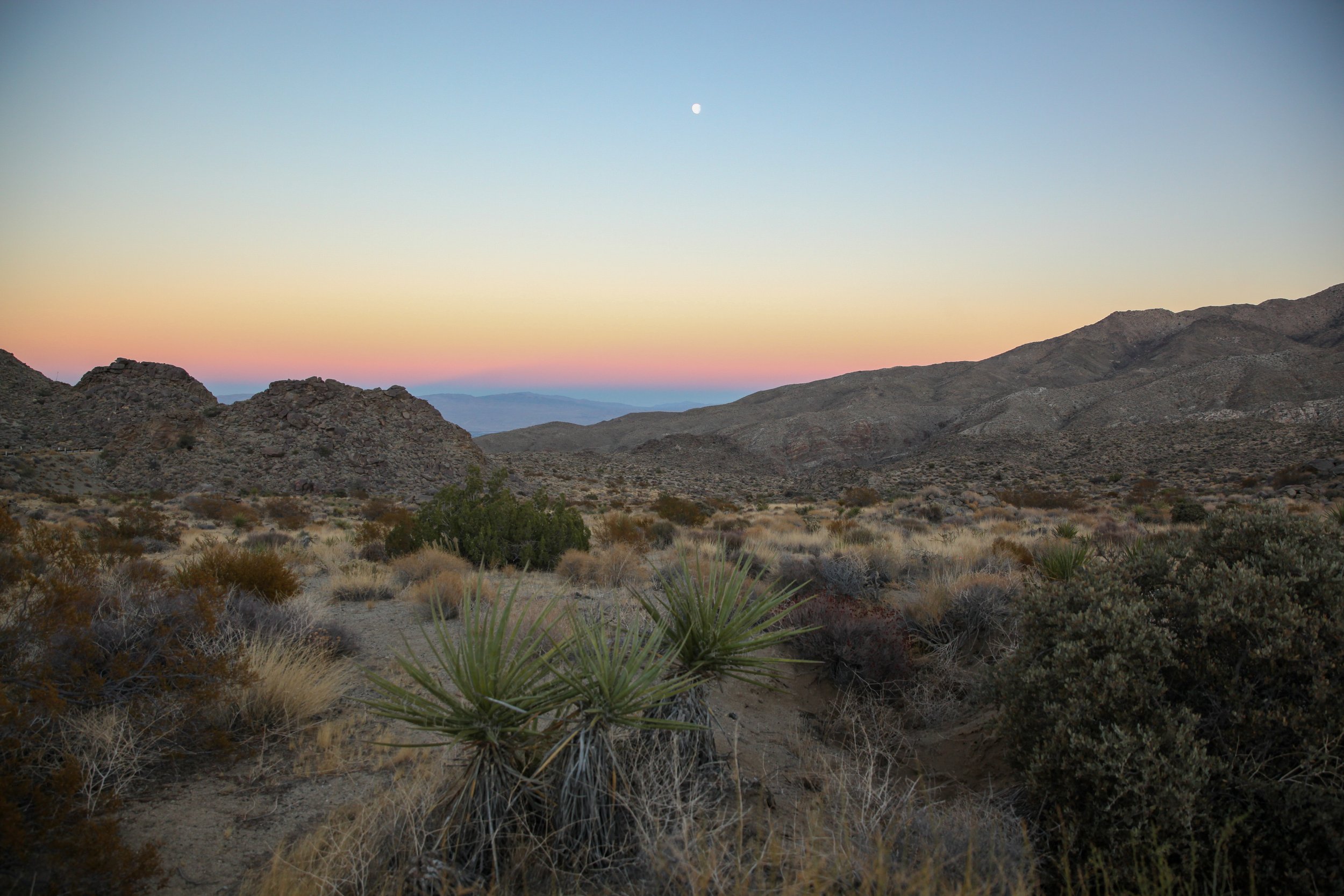 BLM Dispatch #47 - Santa Rosa and San Jacinto Mountains National Monument