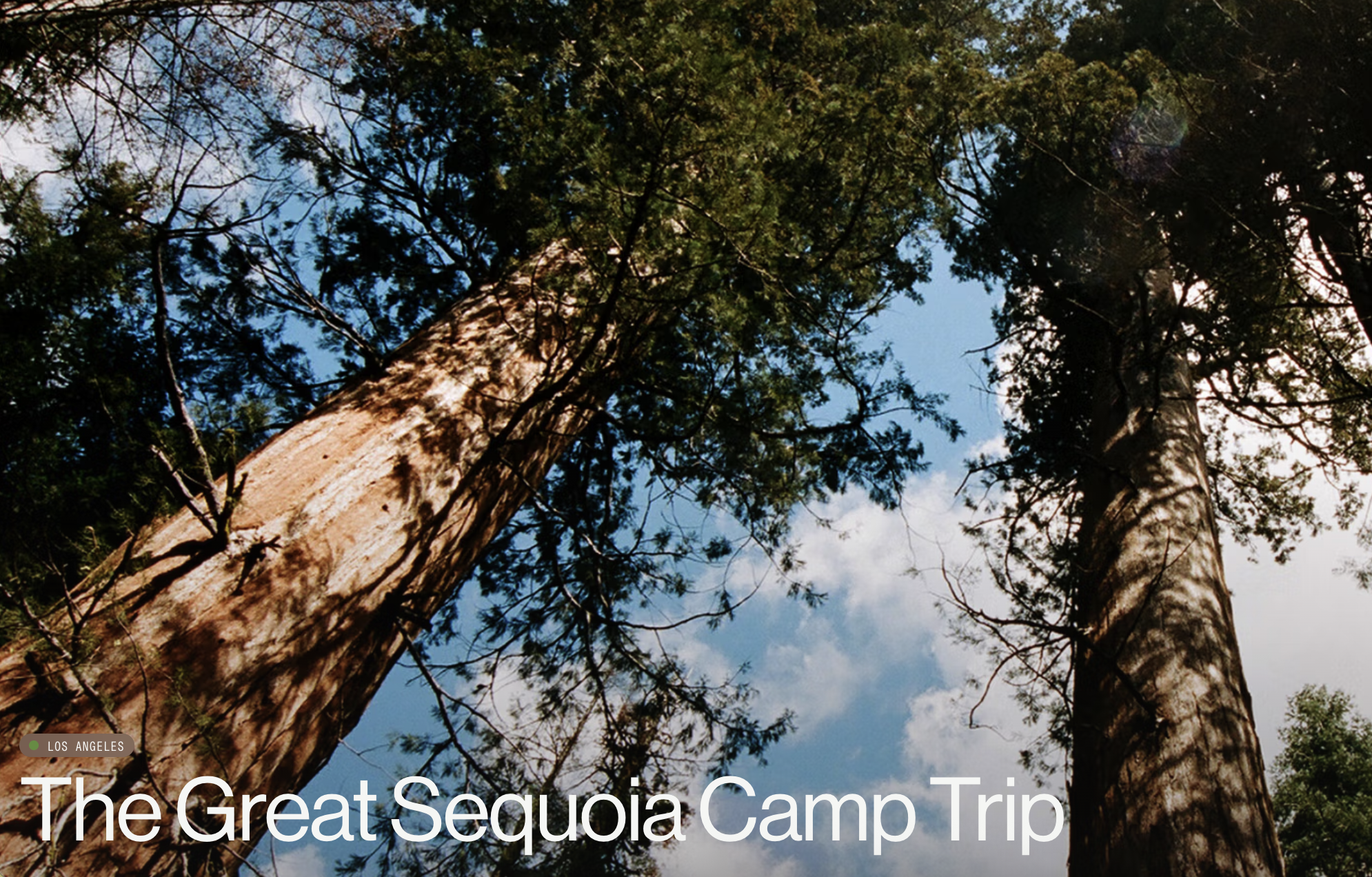 The Great Sequoia Camp Trip