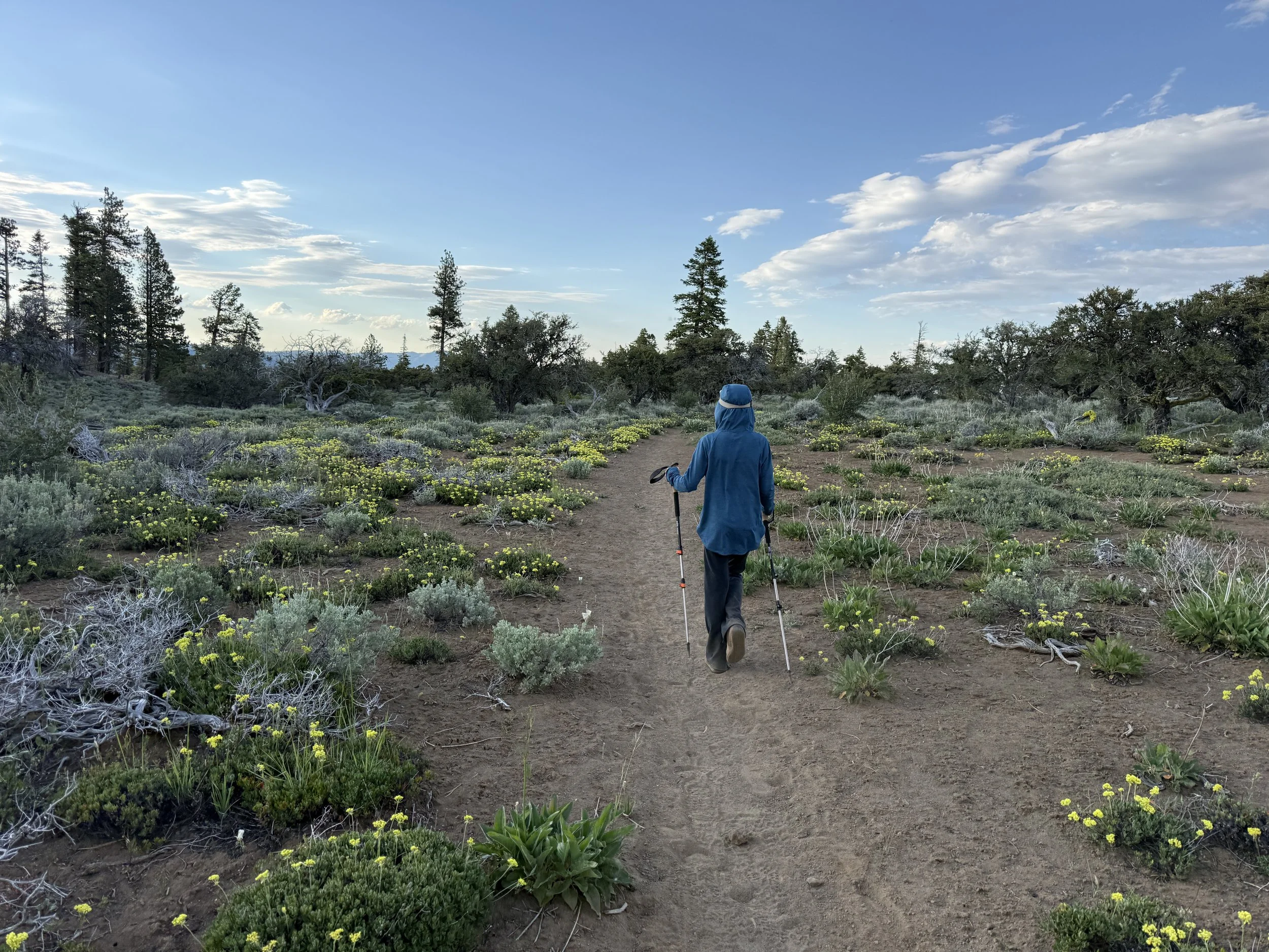 BLM Dispatch #52 - My Daughter's First Backpacking Trip, Part 2