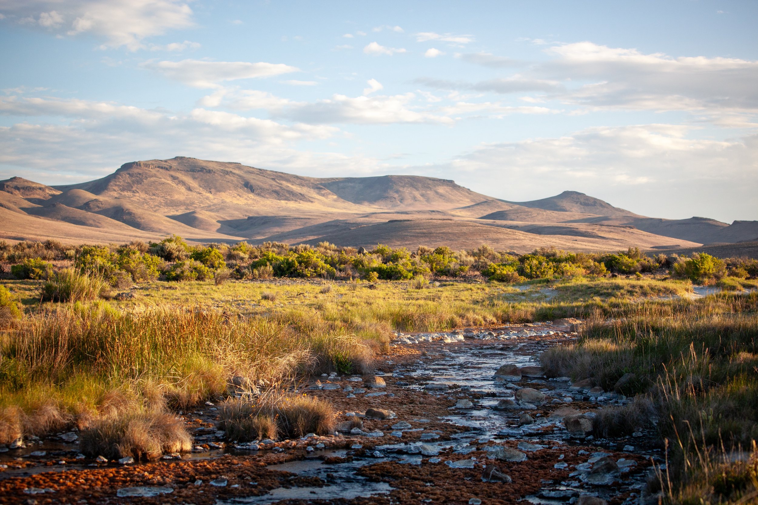 BLM Dispatch #57 - Soldier Meadows Hot Springs