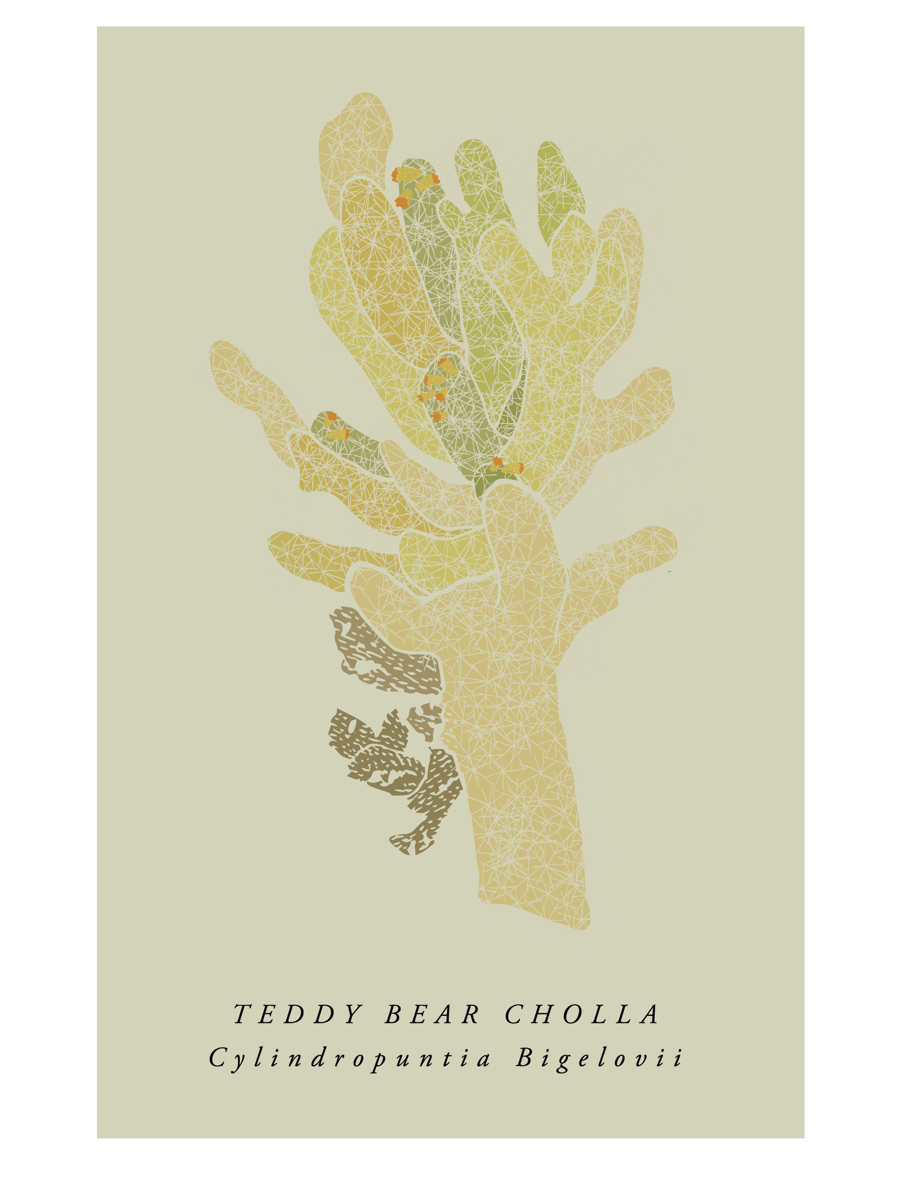 4-3_webstore_cover_illustrations-04.png