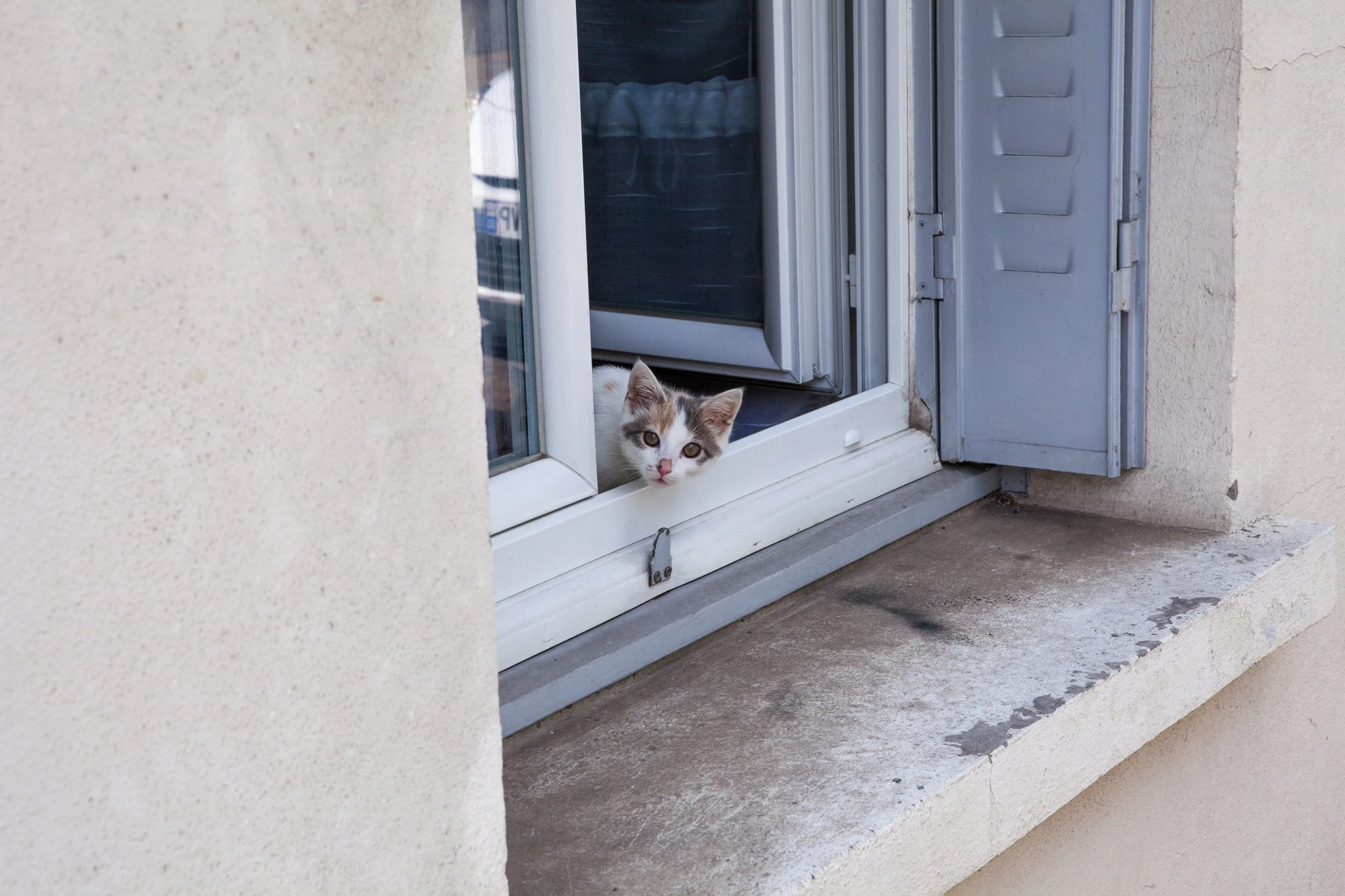 Hey Poes! © Nora Verbraak_MG_1648.jpg