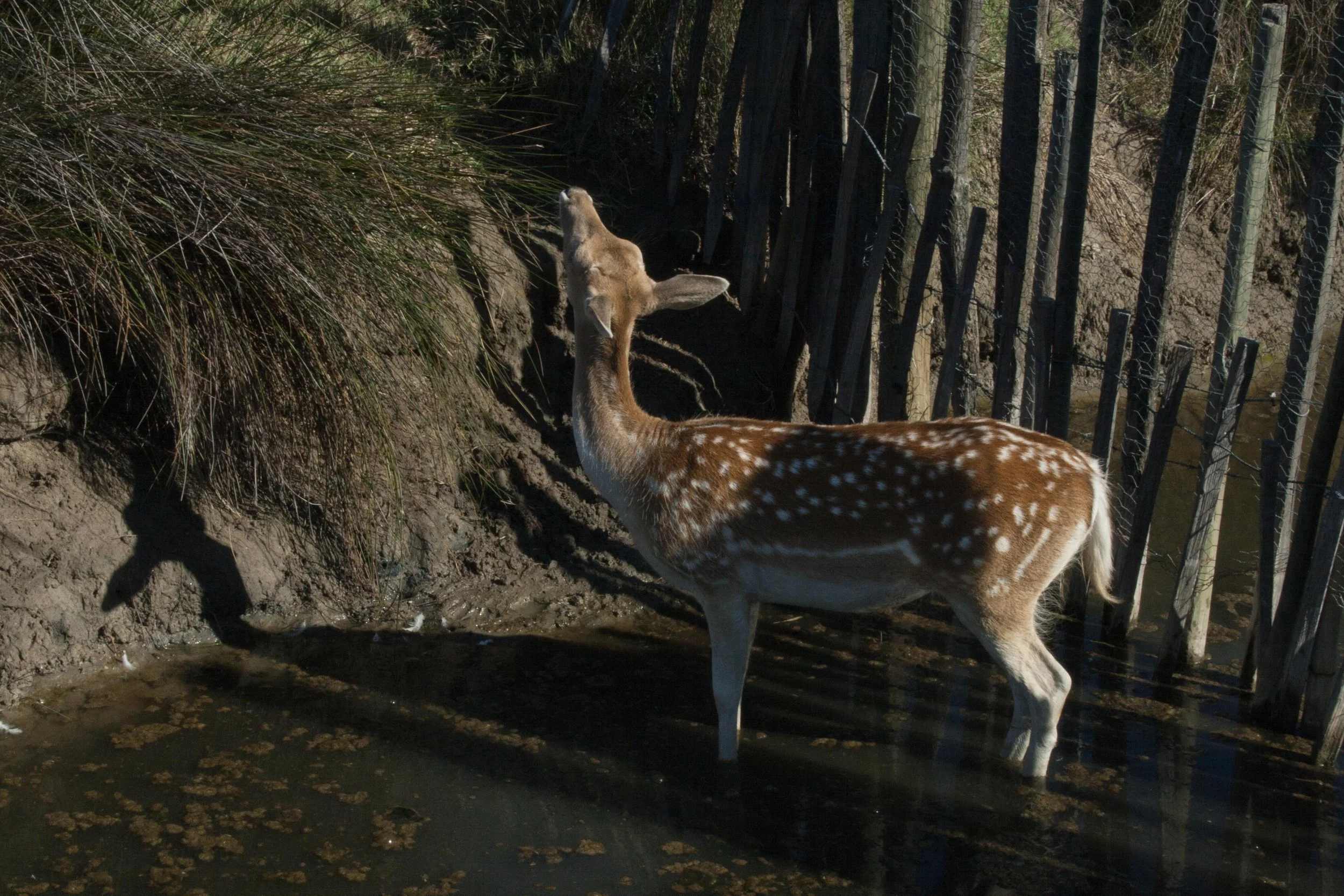 Zoo © Nora Verbraak_MG_8094.jpg