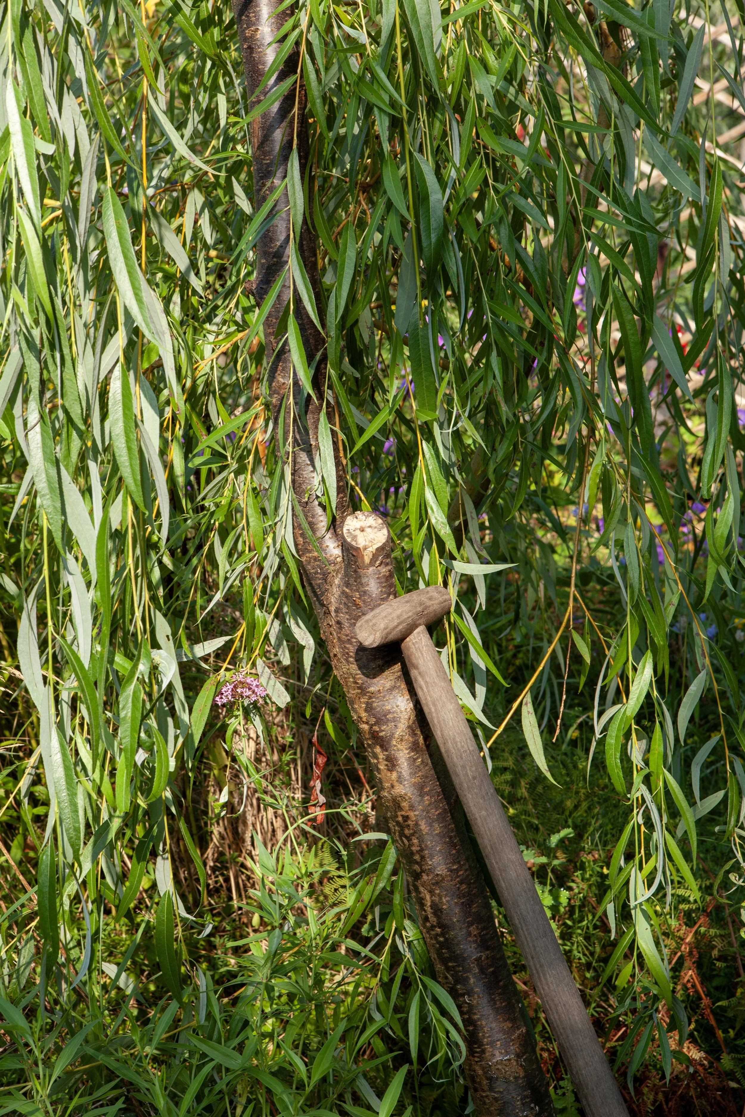 Toet's Tuin_MG_1824 © Nora Verbraak.jpg