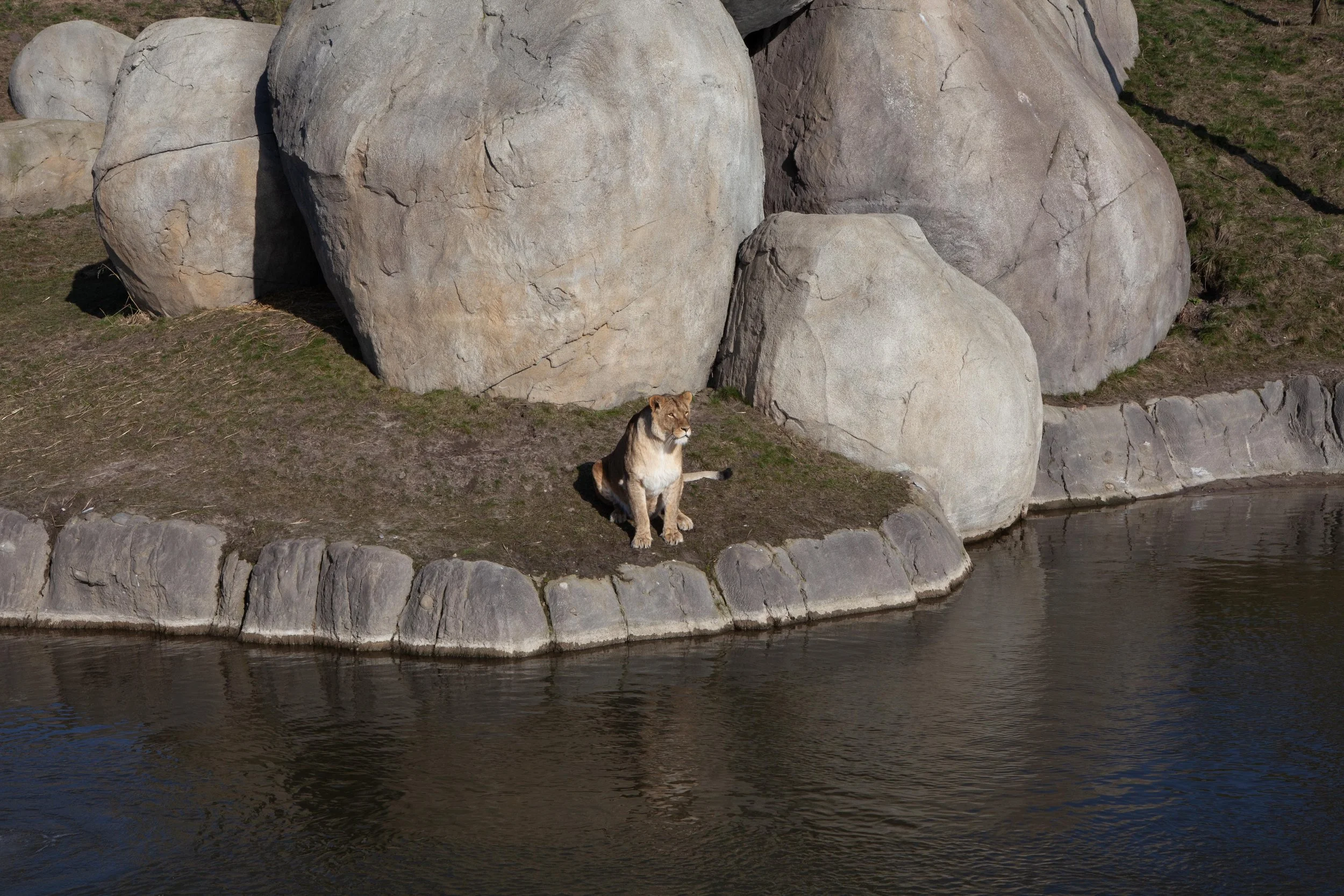 Zoo © Nora Verbraak_MG_5585.jpg