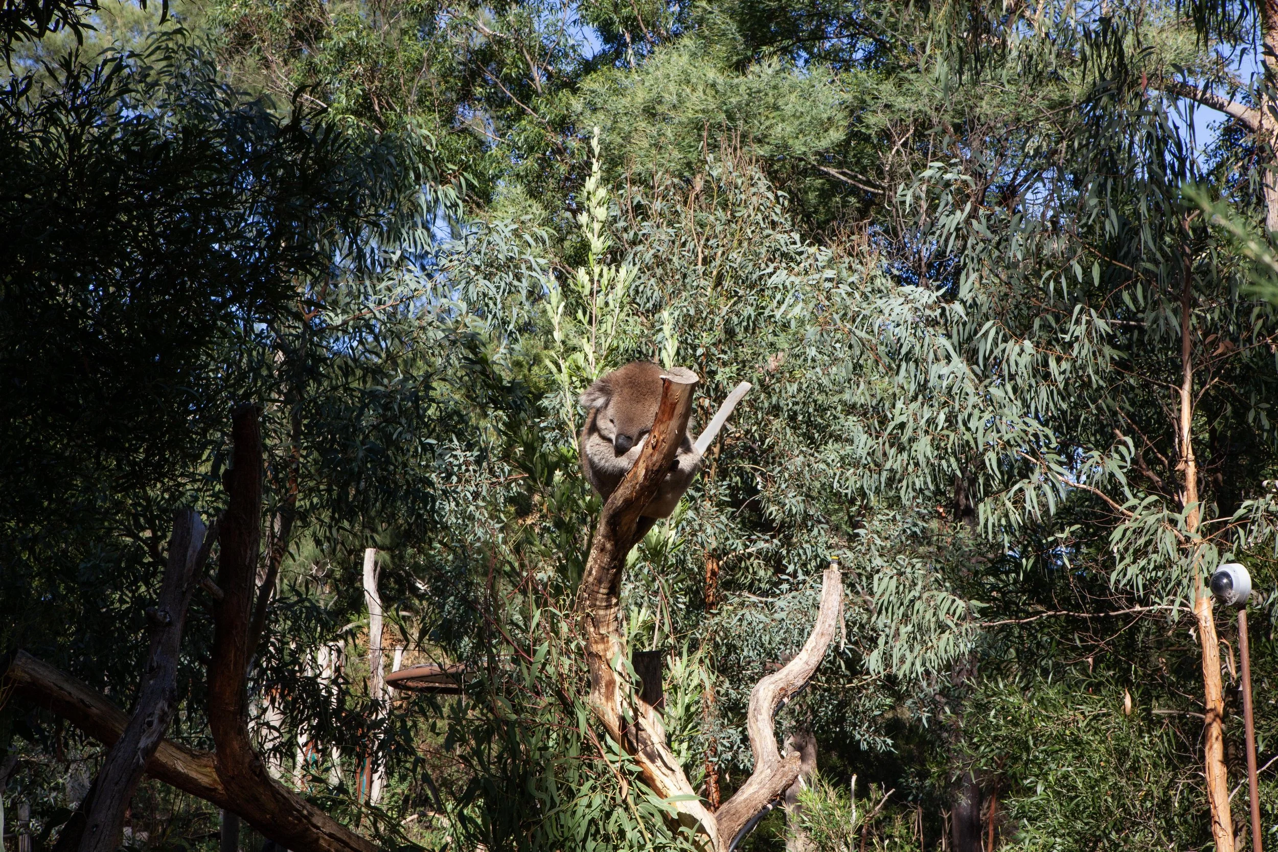 Zoo © Nora Verbraak_MG_1451.jpg