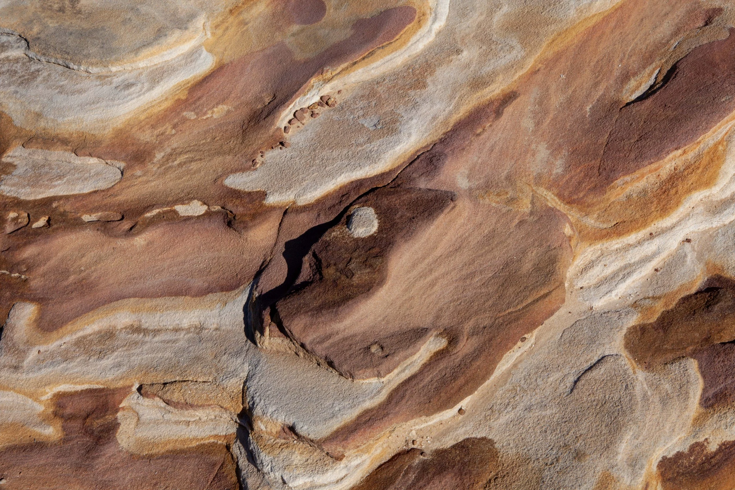 Nora Verbraak - Sculptures by the Sea - Sydney_MG_3015.jpg