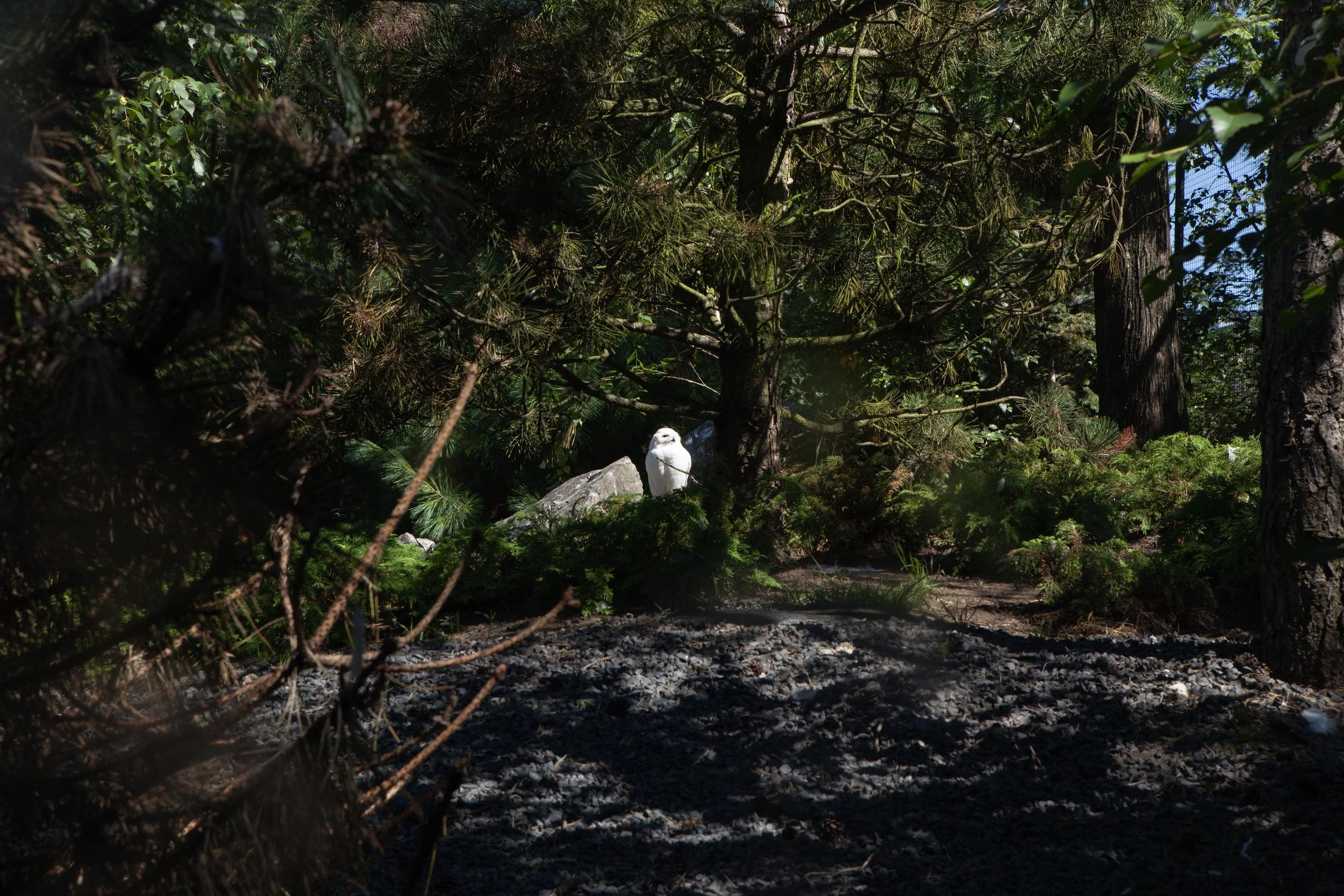 Zoo © Nora Verbraak_MG_6751.jpg