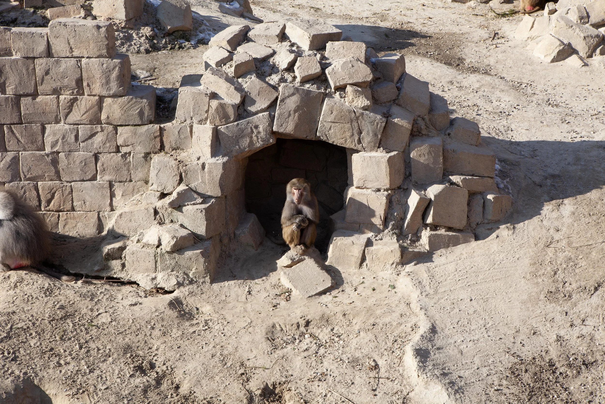 Zoo © Nora Verbraak_MG_5644.jpg