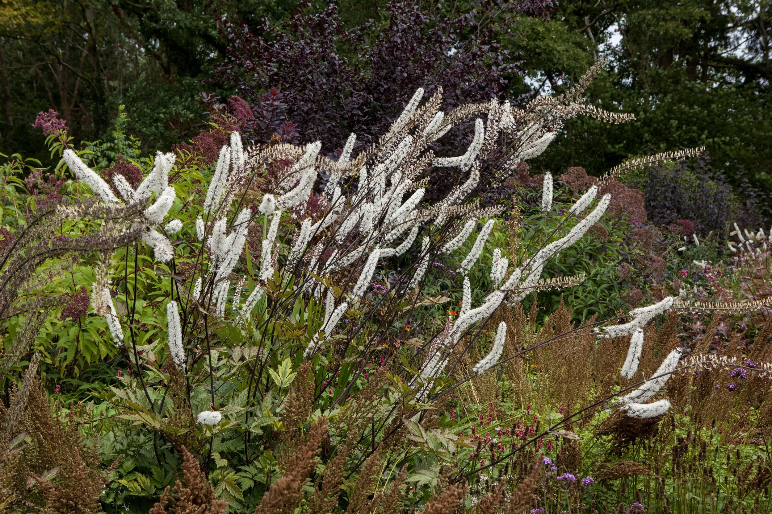De Luie Tuinman_MG_8841 © Nora Verbraak.jpg