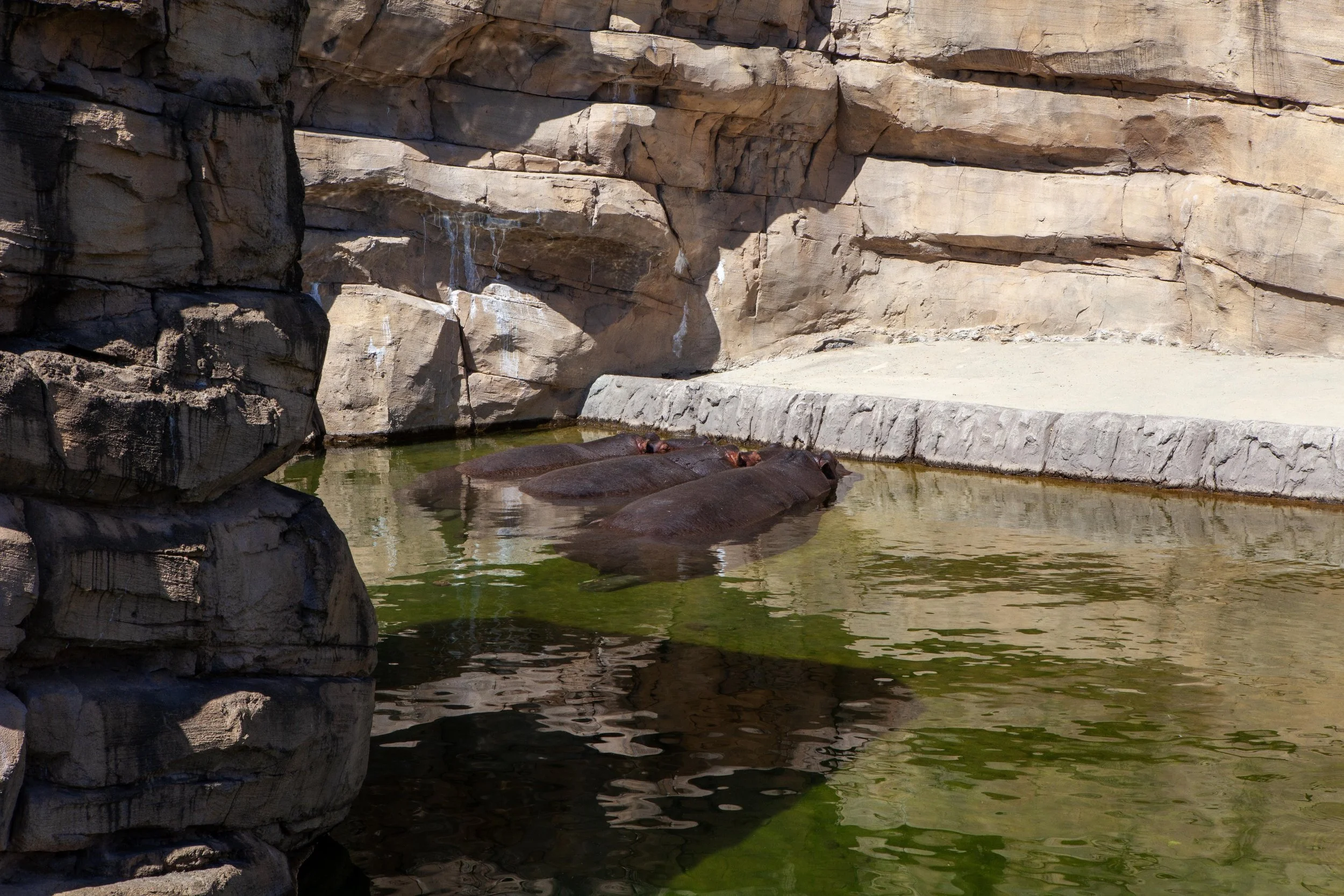 Zoo © Nora Verbraak_MG_6754.jpg