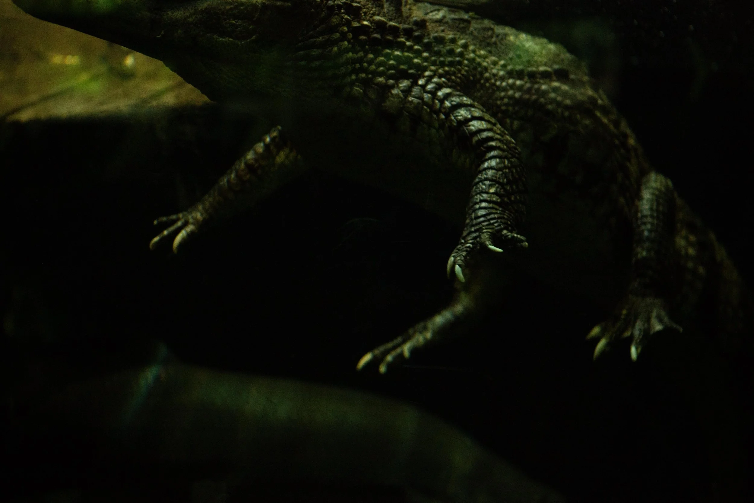 Zoo © Nora Verbraak_MG_5540.jpg