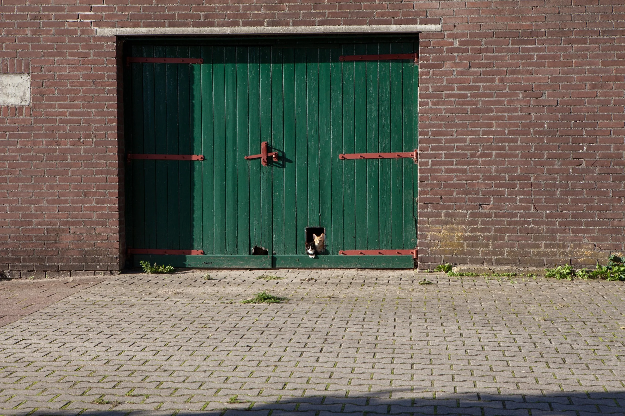 Hey Poes! © Nora Verbraak_MG_9765.jpg