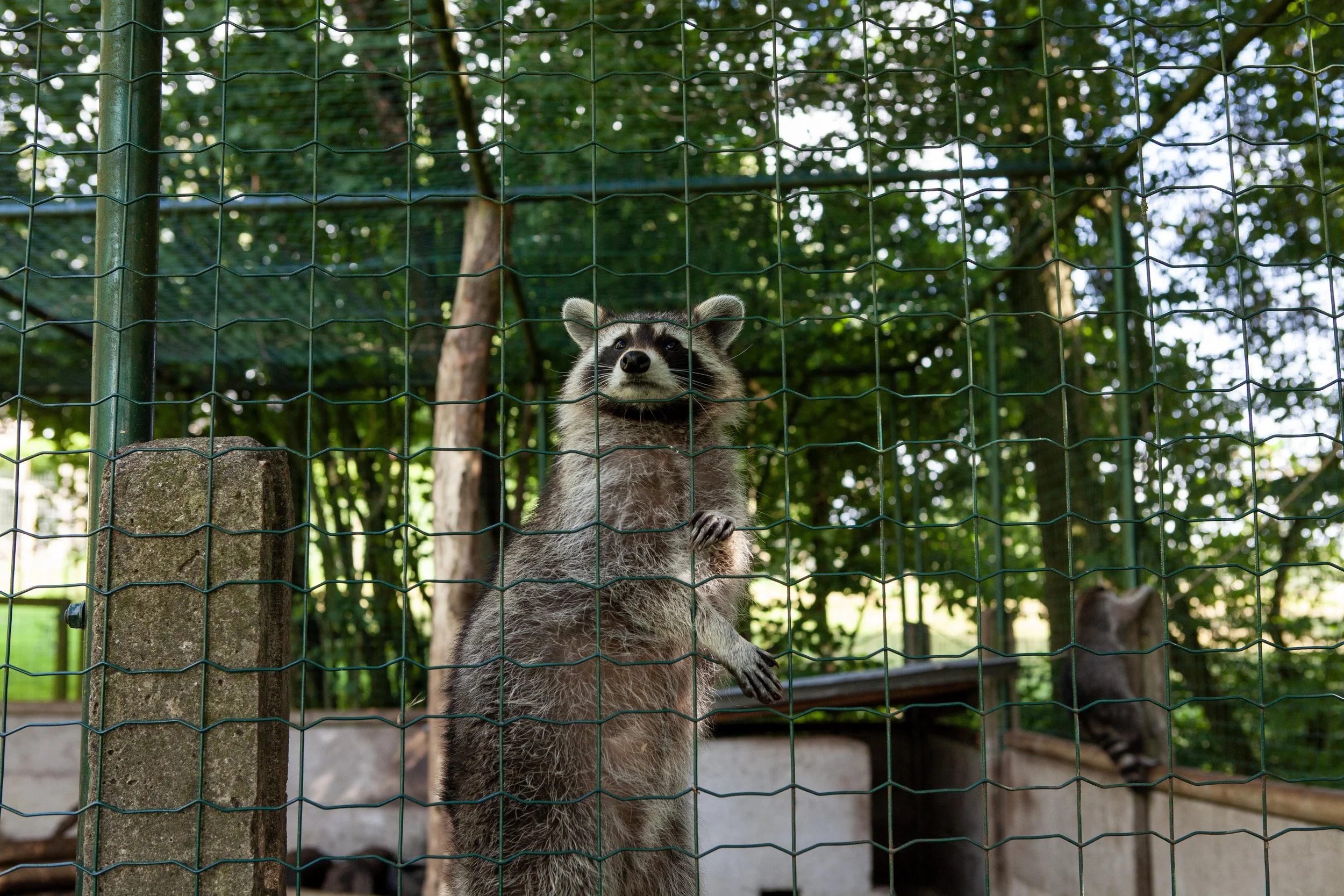 Zoo © Nora Verbraak_MG_7053.jpg