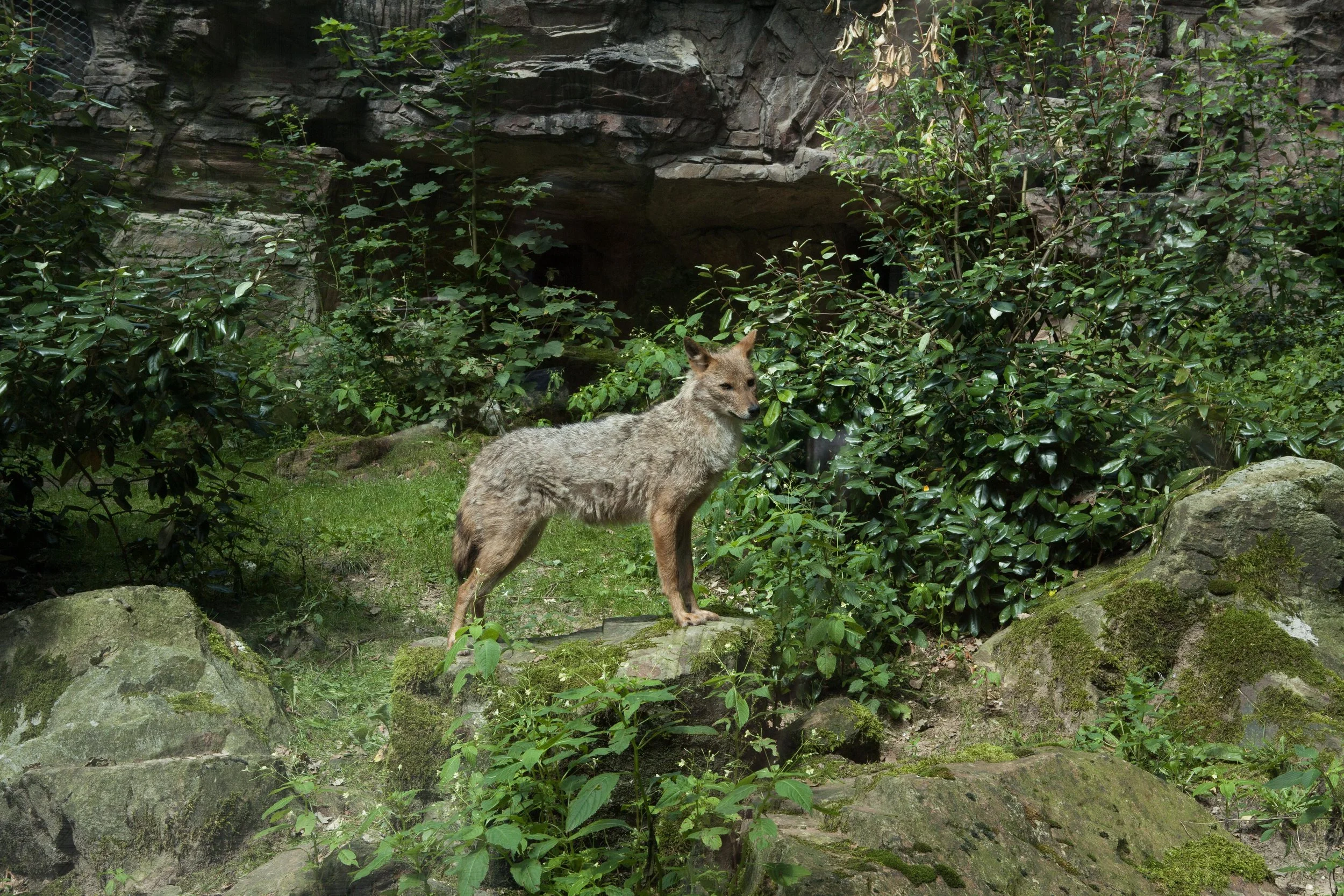 Zoo © Nora Verbraak_MG_6870.jpg