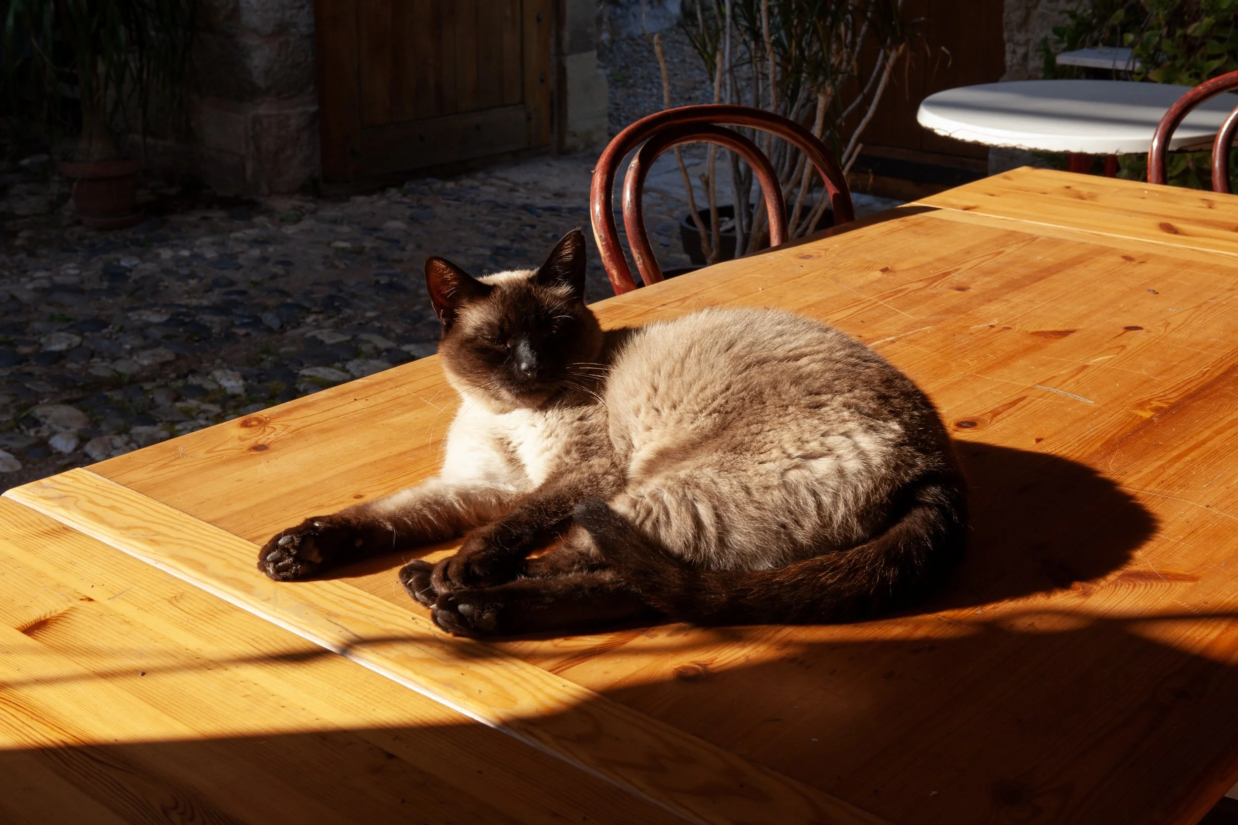 Hey Poes! © Nora Verbraak_MG_1015.jpg