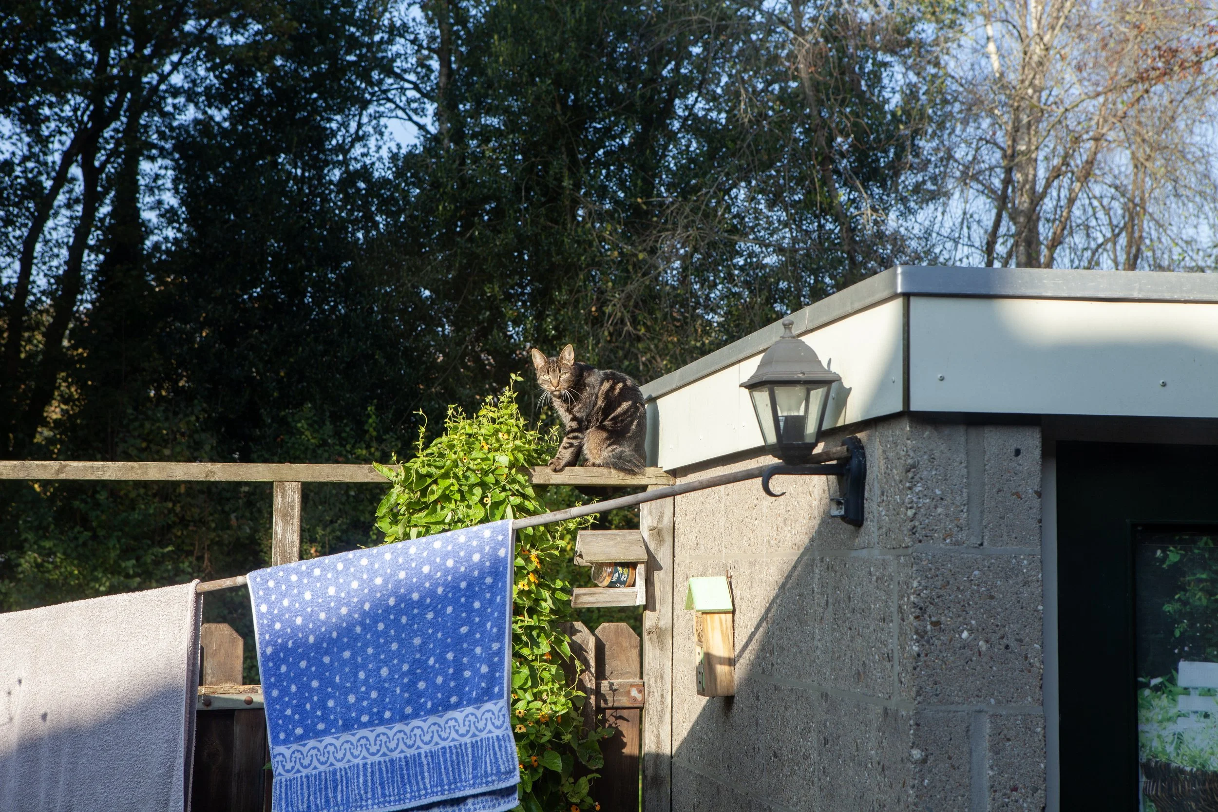 Hey Poes! © Nora Verbraak_MG_9790.jpg