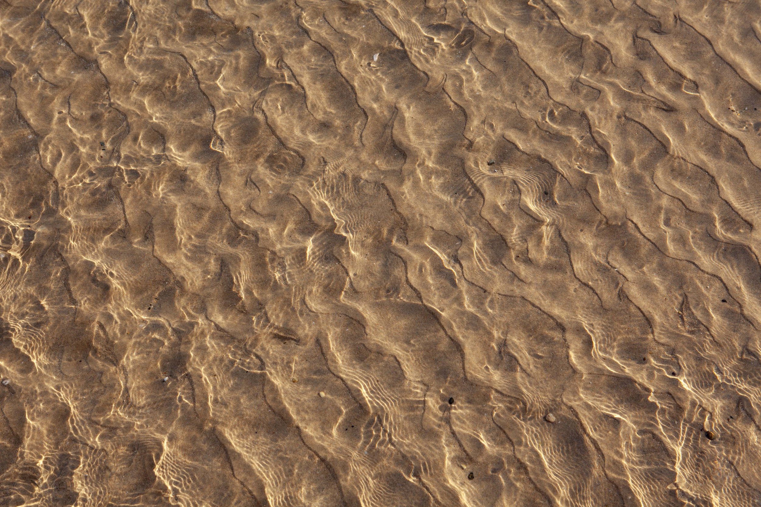 Nora Verbraak Blue Mind - Coffs _MG_3843.jpg