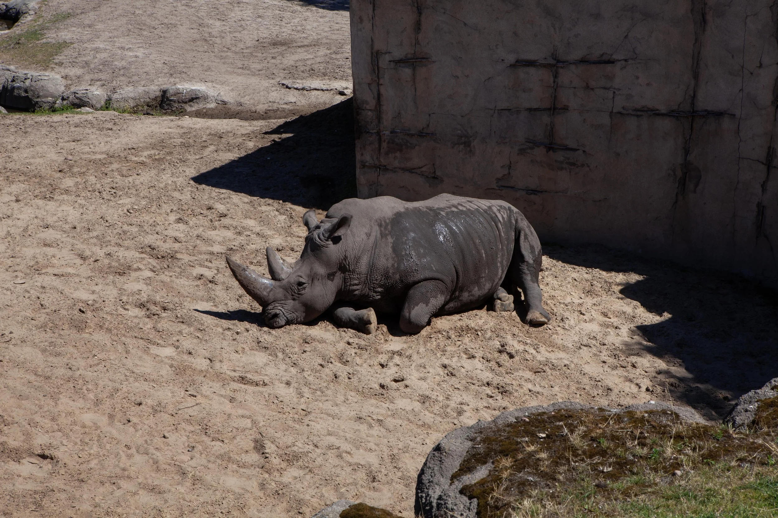 Zoo © Nora Verbraak_MG_6834.jpg