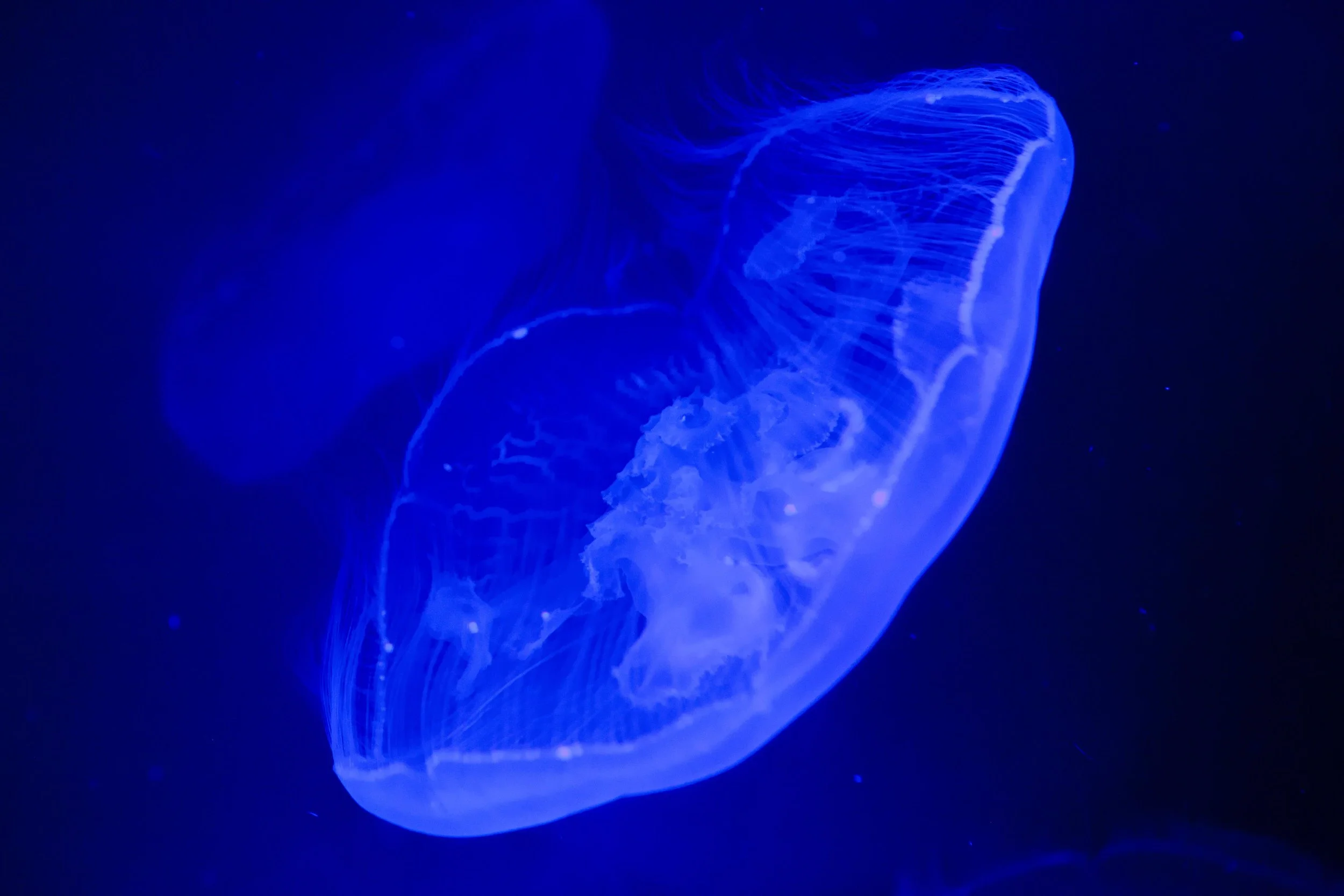 Zoo © Nora Verbraak_MG_6010.jpg