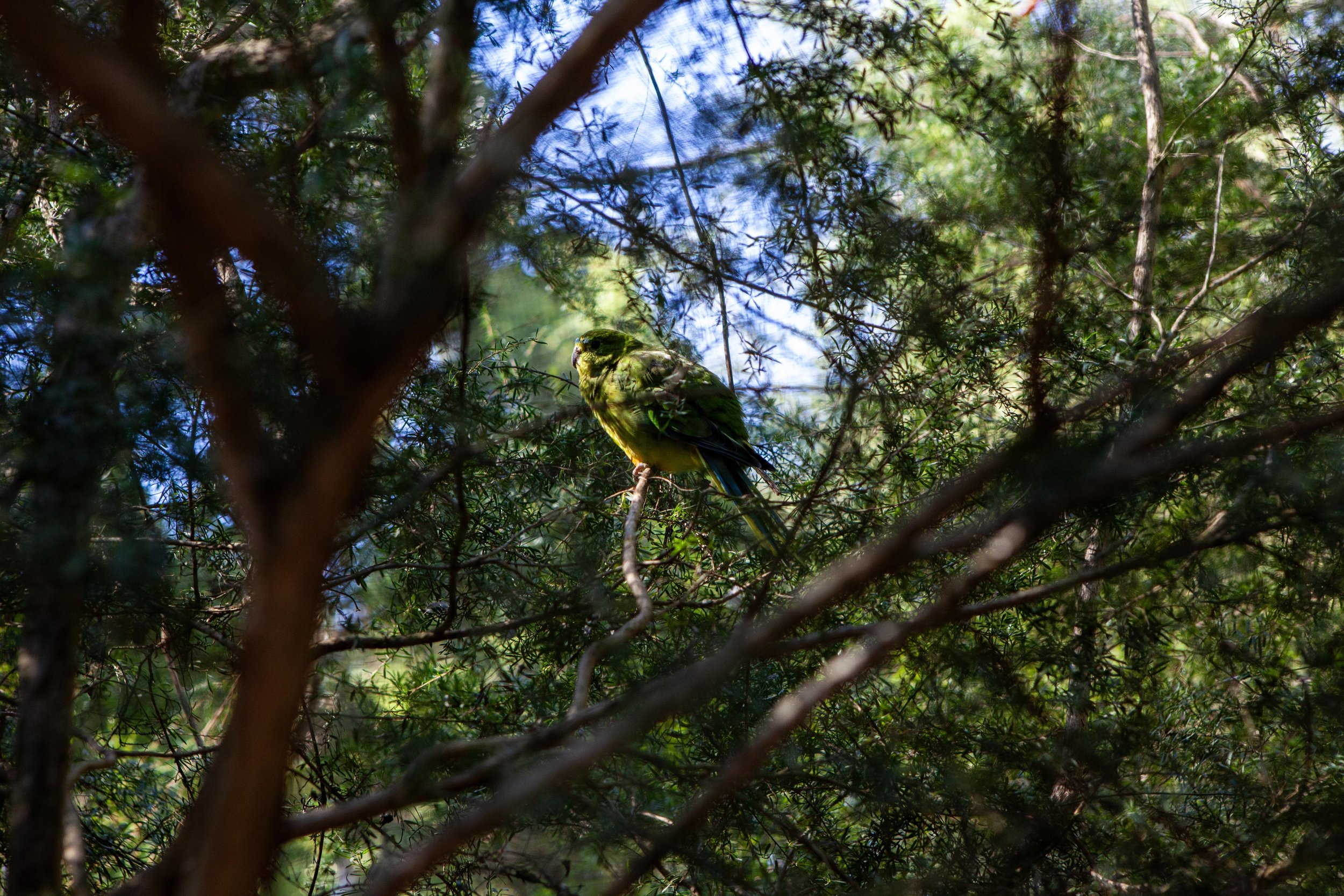 Zoo © Nora Verbraak_MG_1622.jpg