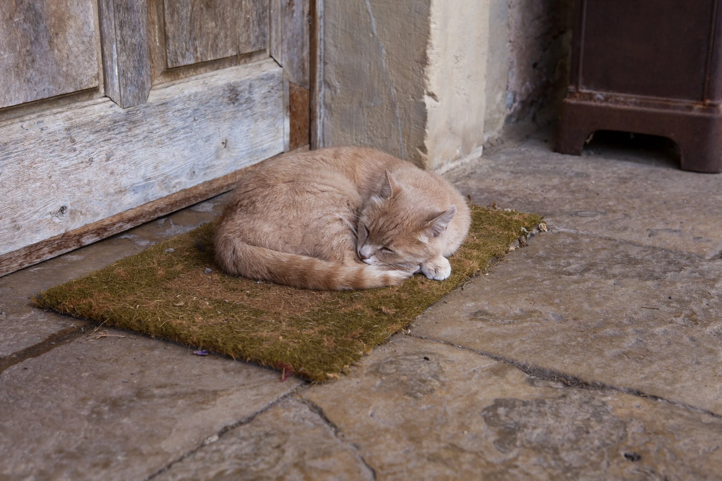 Hey Poes! © Nora Verbraak_MG_1117.jpg