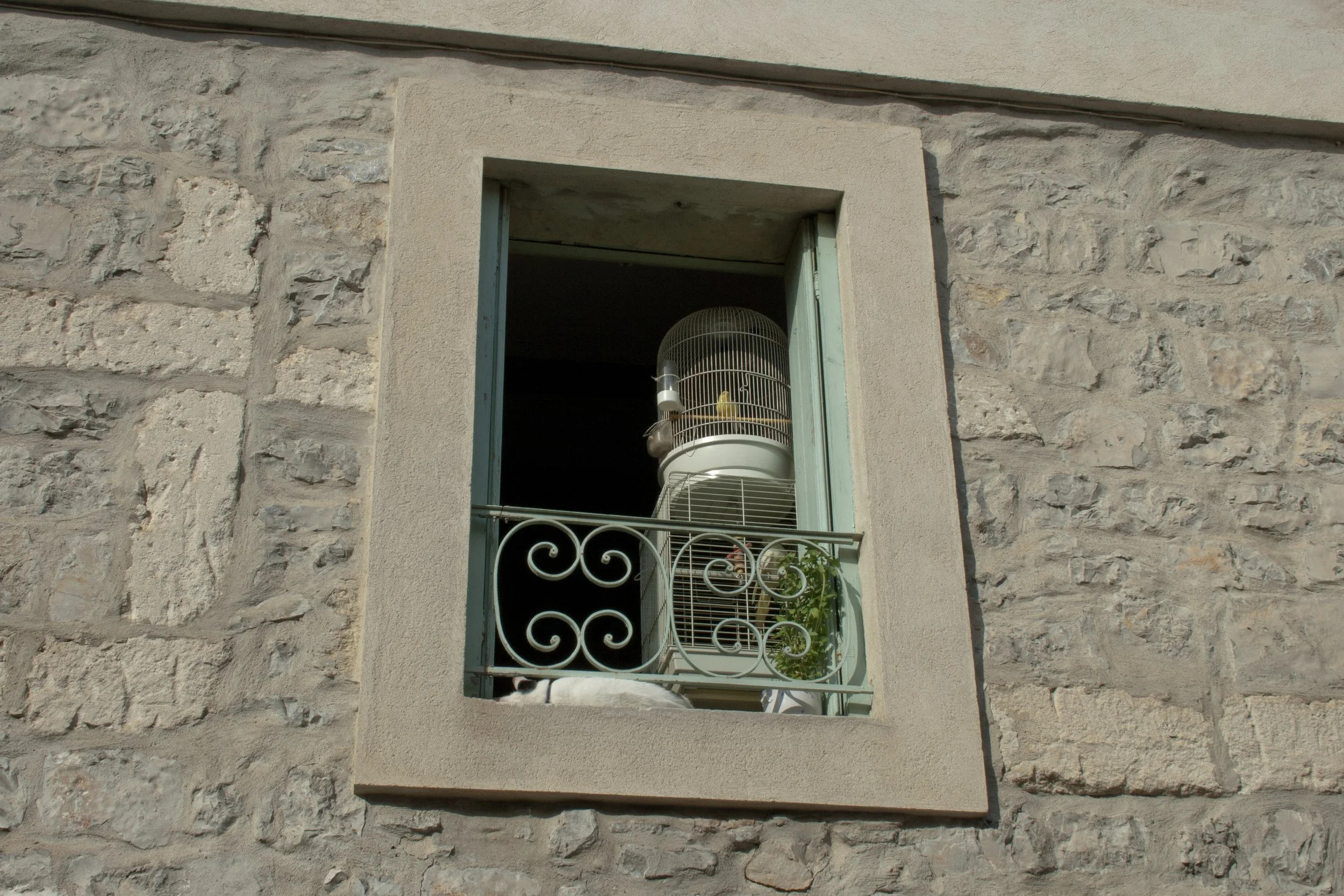 Hey Poes! © Nora Verbraak_MG_7900.jpg