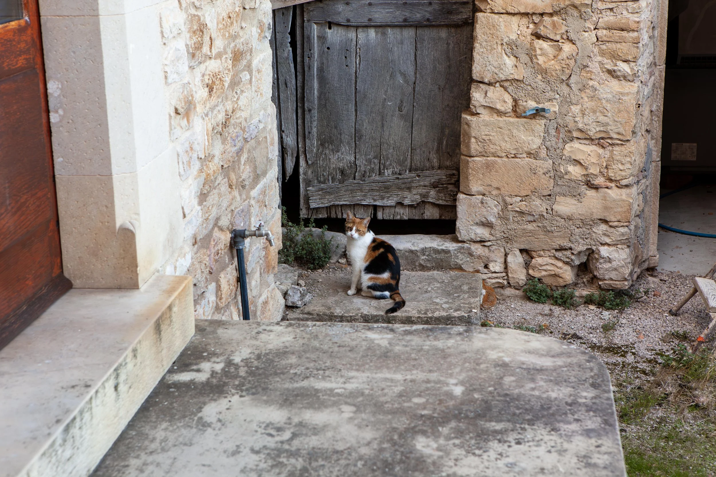 Hey Poes! © Nora Verbraak_MG_4149.jpg