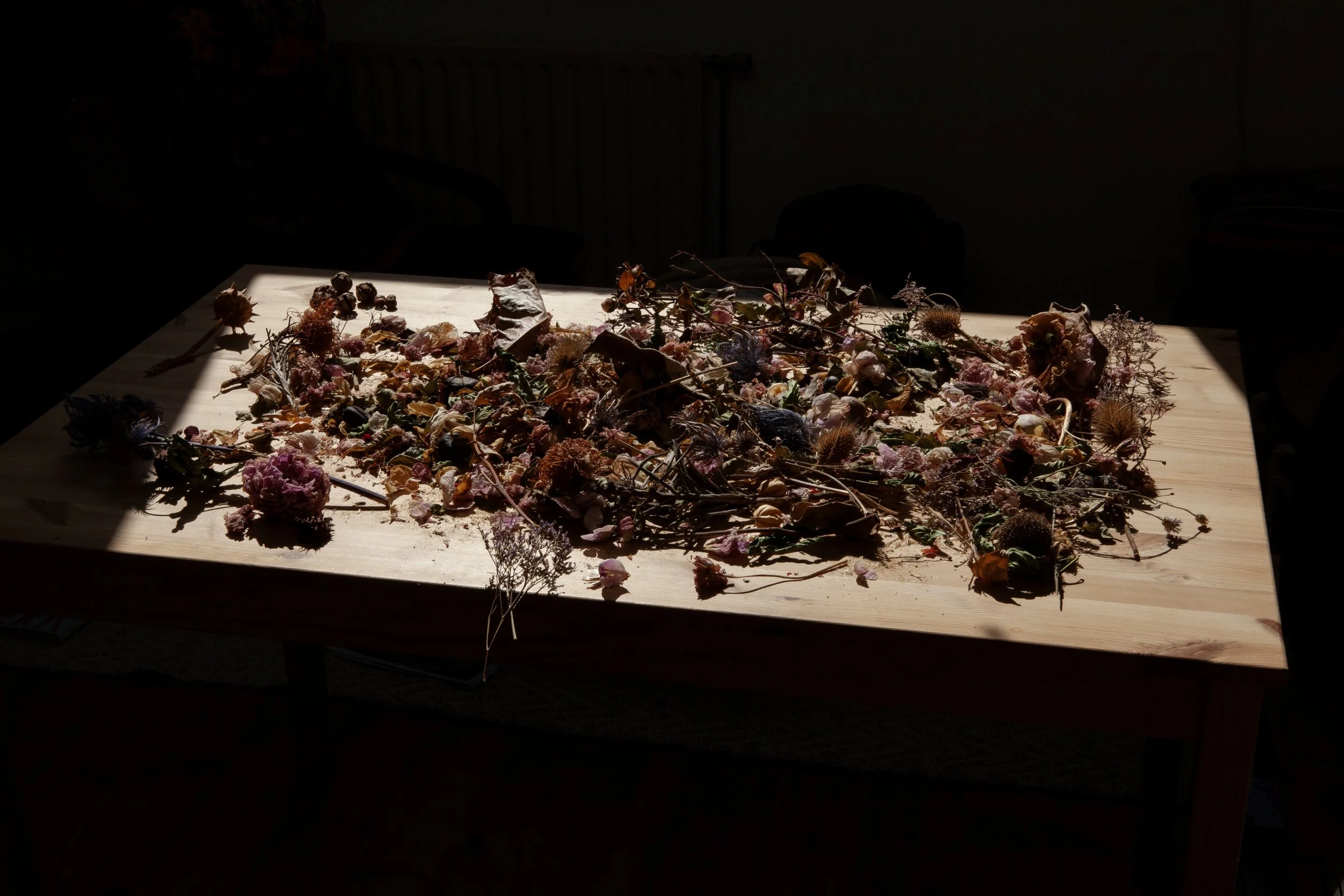 Fleurs Séchées © Nora Verbraak_MG_1609.jpg