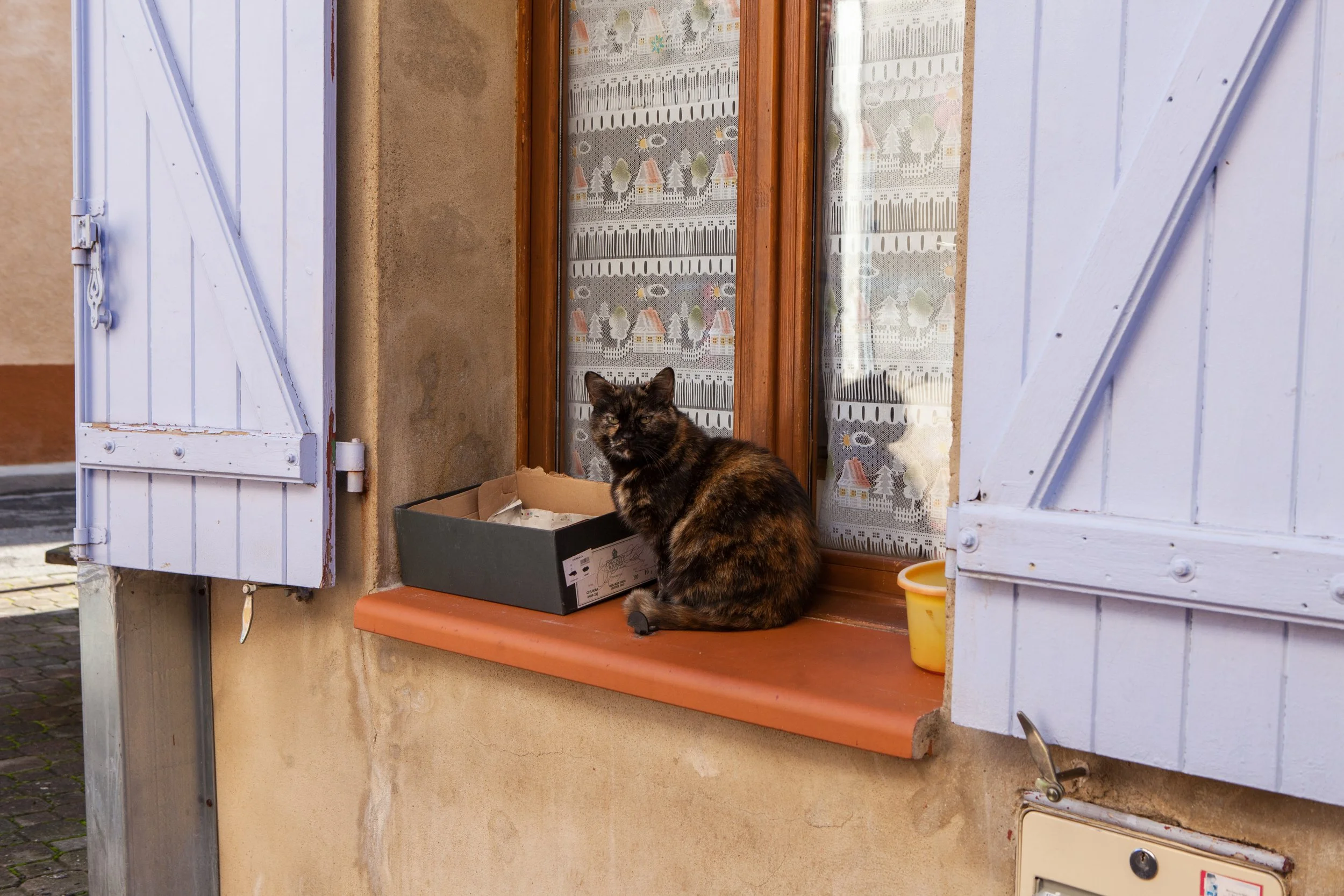 Hey Poes! © Nora Verbraak_MG_4108.jpg